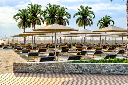 Rzędy pustych leżaków i parasoli na piaszczystej plaży pod palmami.
