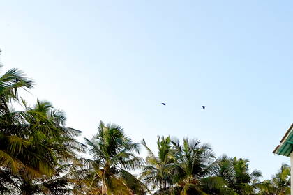 Club Kurumba
