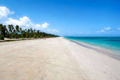 Plaża z białym piaskiem, palmy i błękitne niebo.