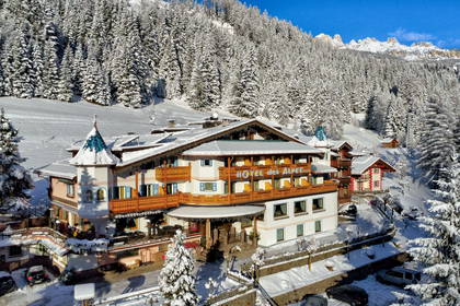 Zimowy krajobraz. W tle hotel "Hotel des Alpes" i zaśnieżony las.