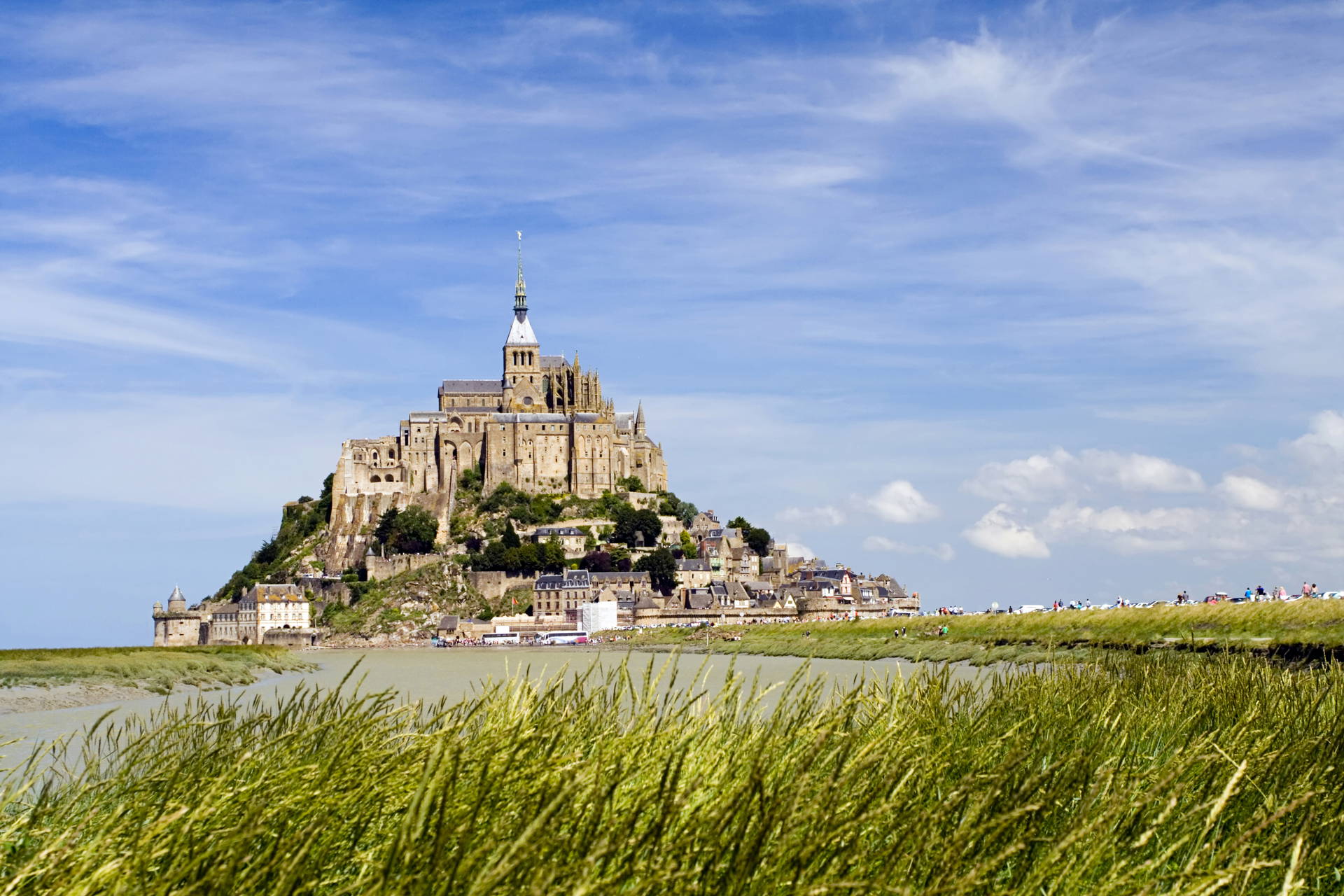 Mont Saint-Michel na tle zielonej trawy, Francja.