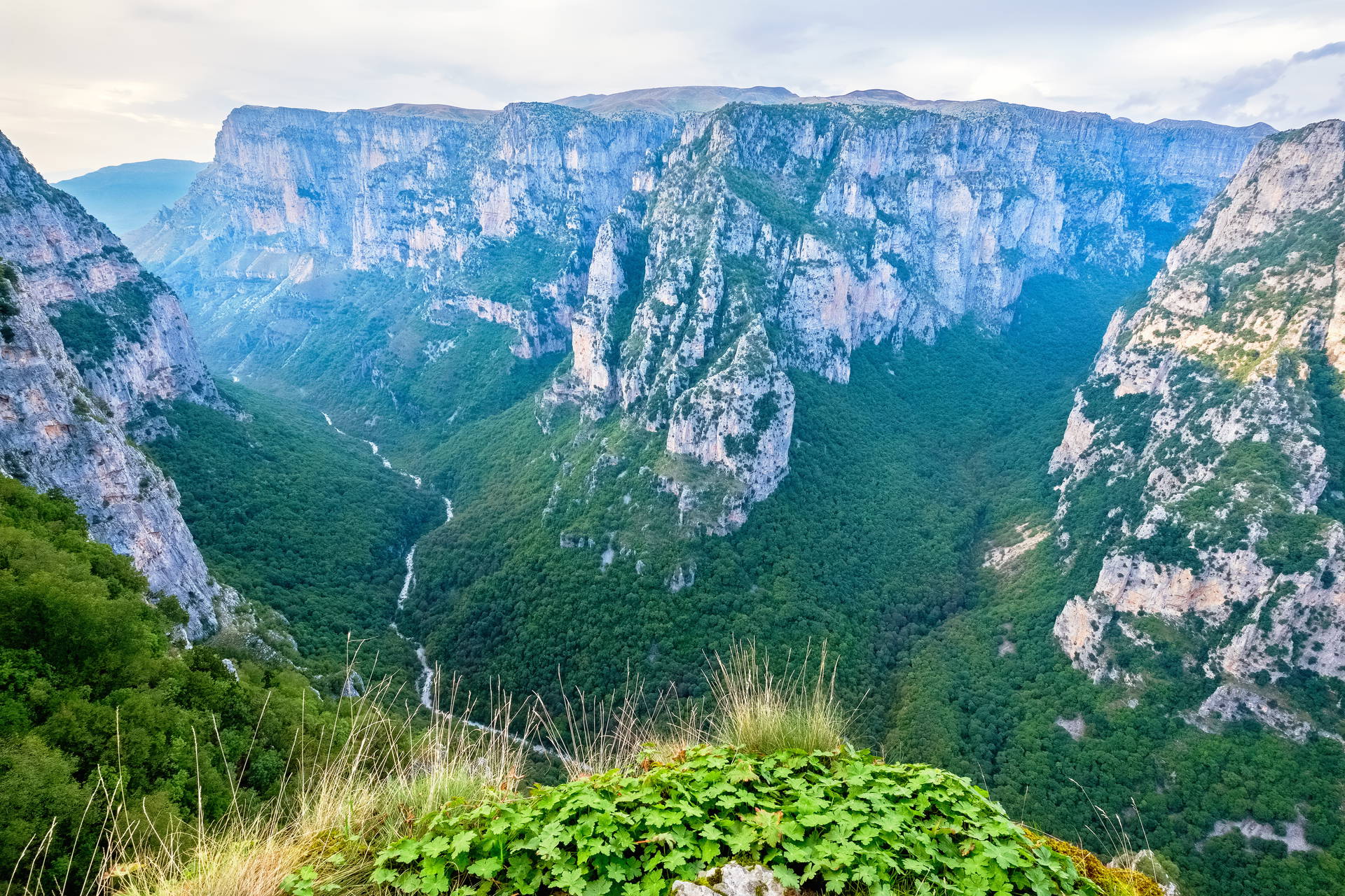 Górzysty krajobraz z wąwozem Vikos w Grecji.
