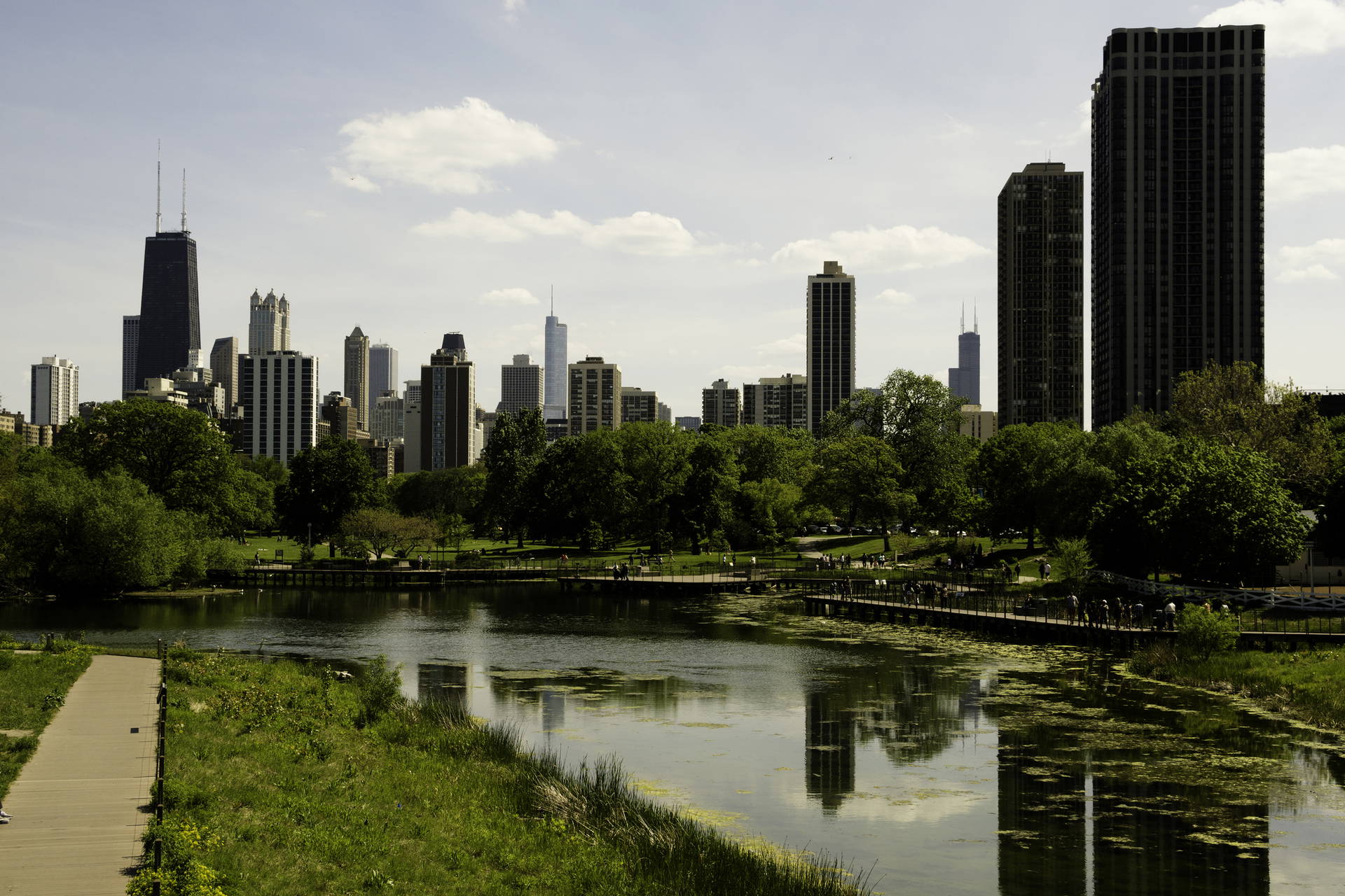 Panorama Chicago znad jeziora w parku.