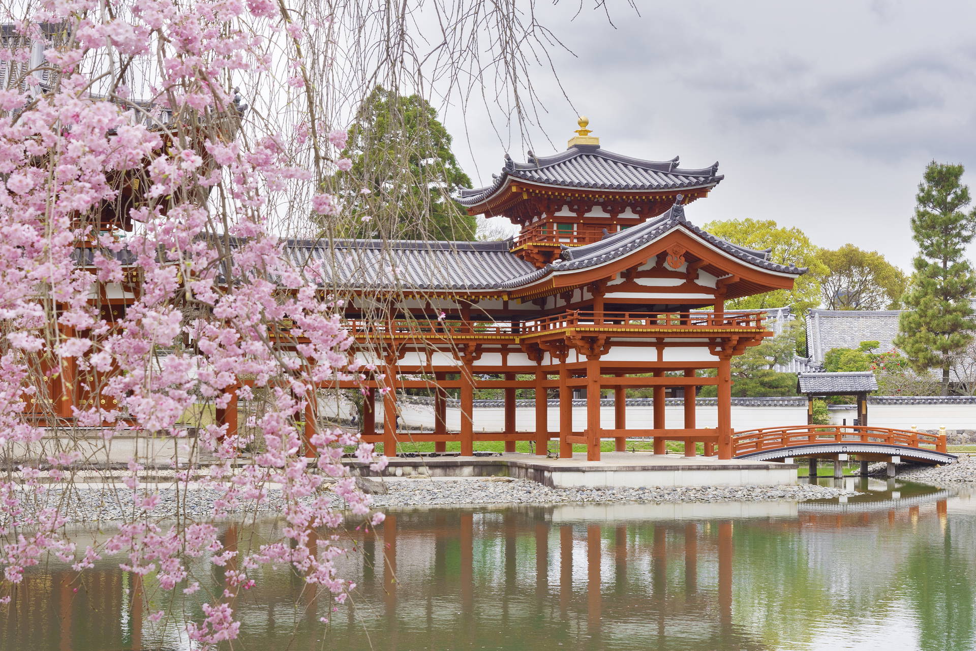 Pawilon Feniksa w Byodo-in, Uji, Japonia, otoczony kwitnącymi drzewami wiśni.