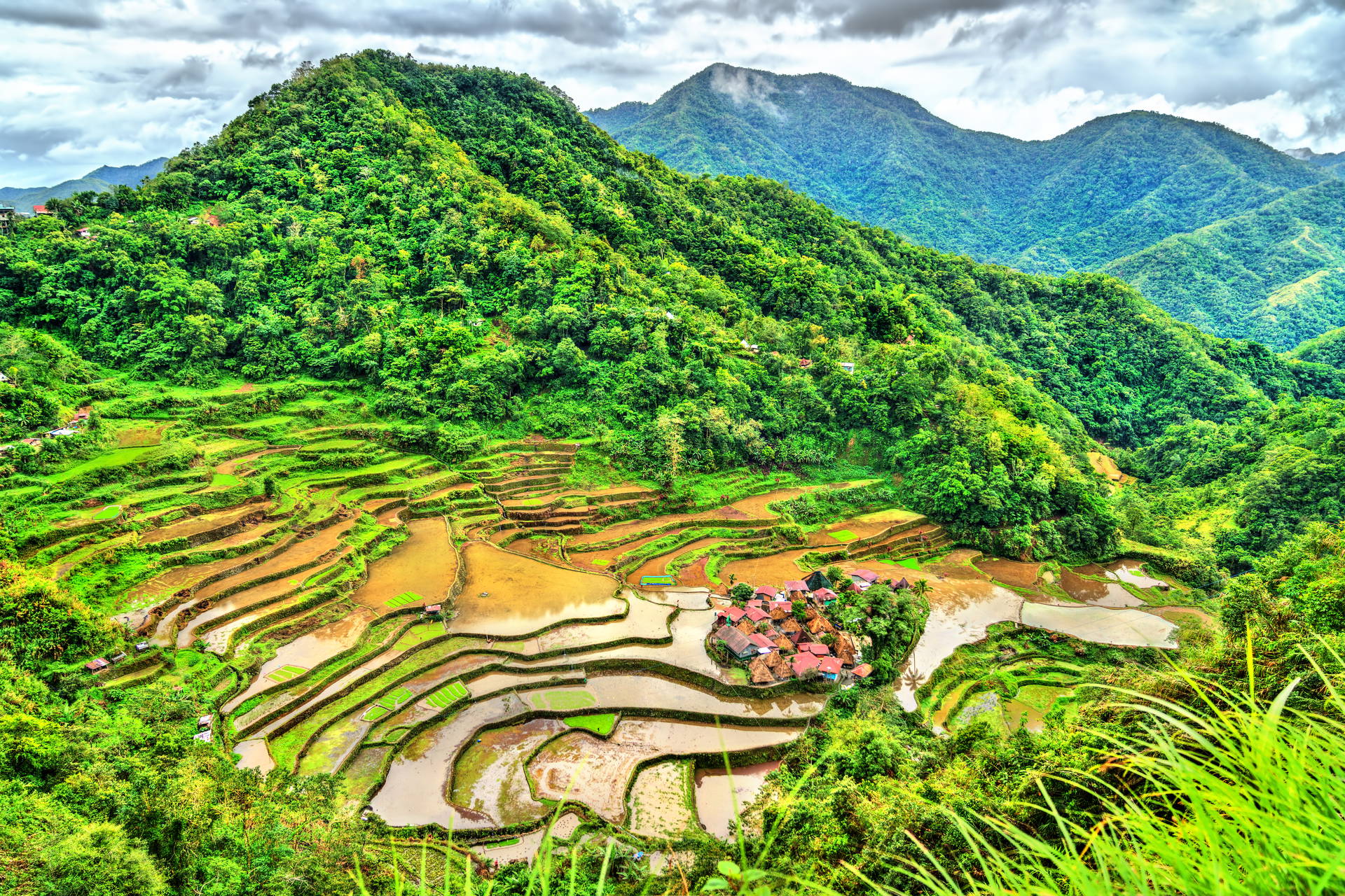 Tarasy ryżowe w Banaue na Filipinach.