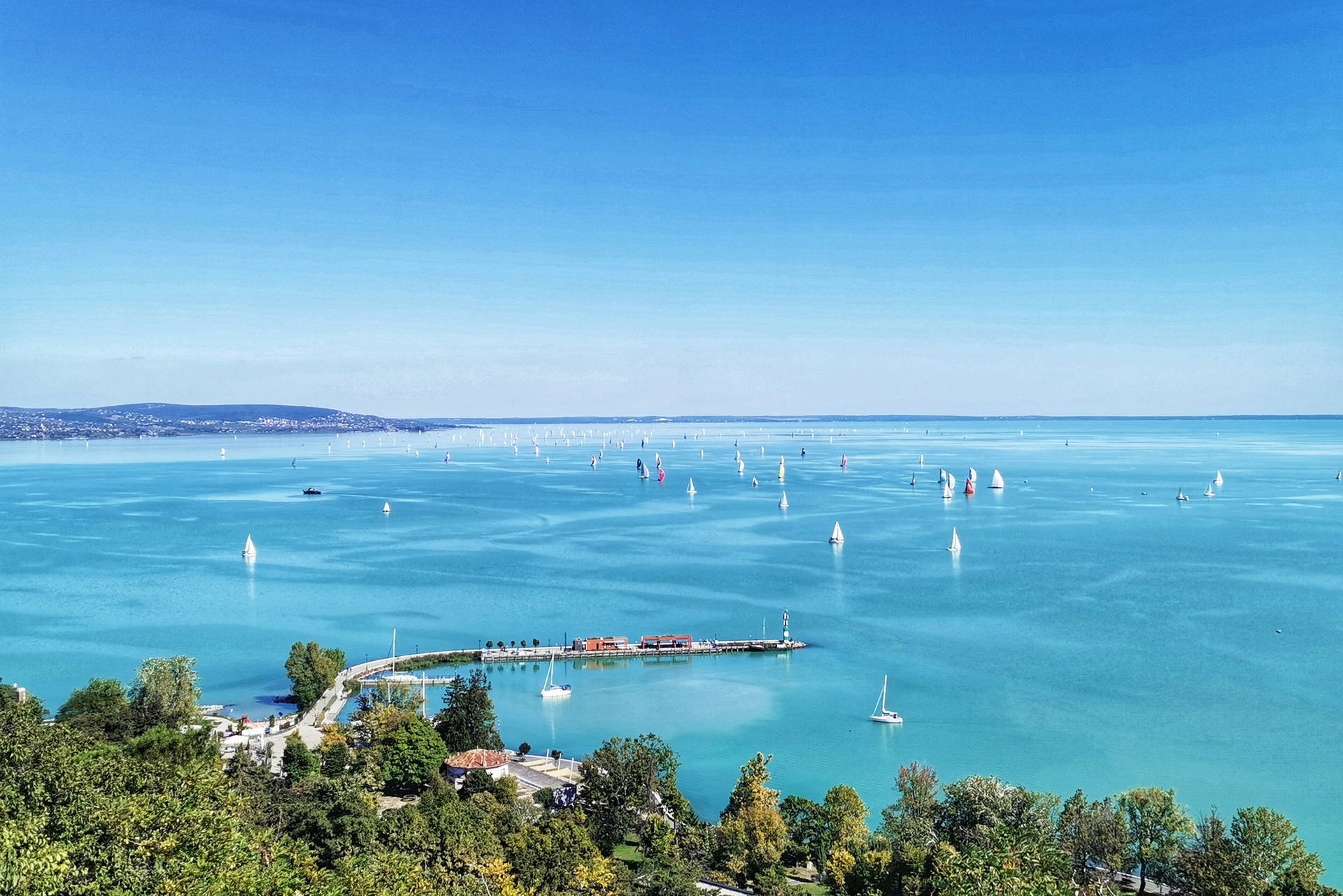 Balaton z żaglówkami.