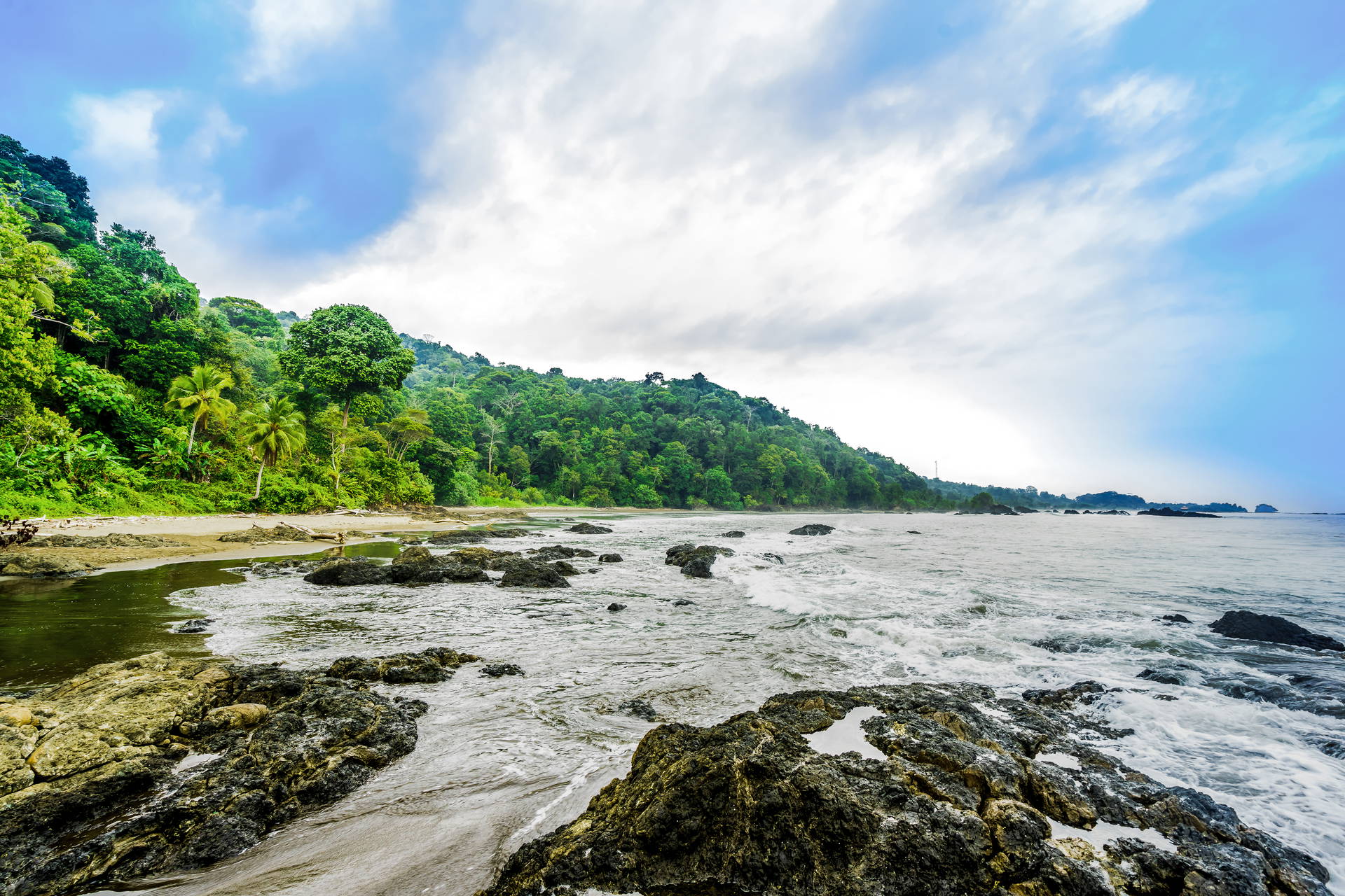 Tropikalna plaża z bujną roślinnością.