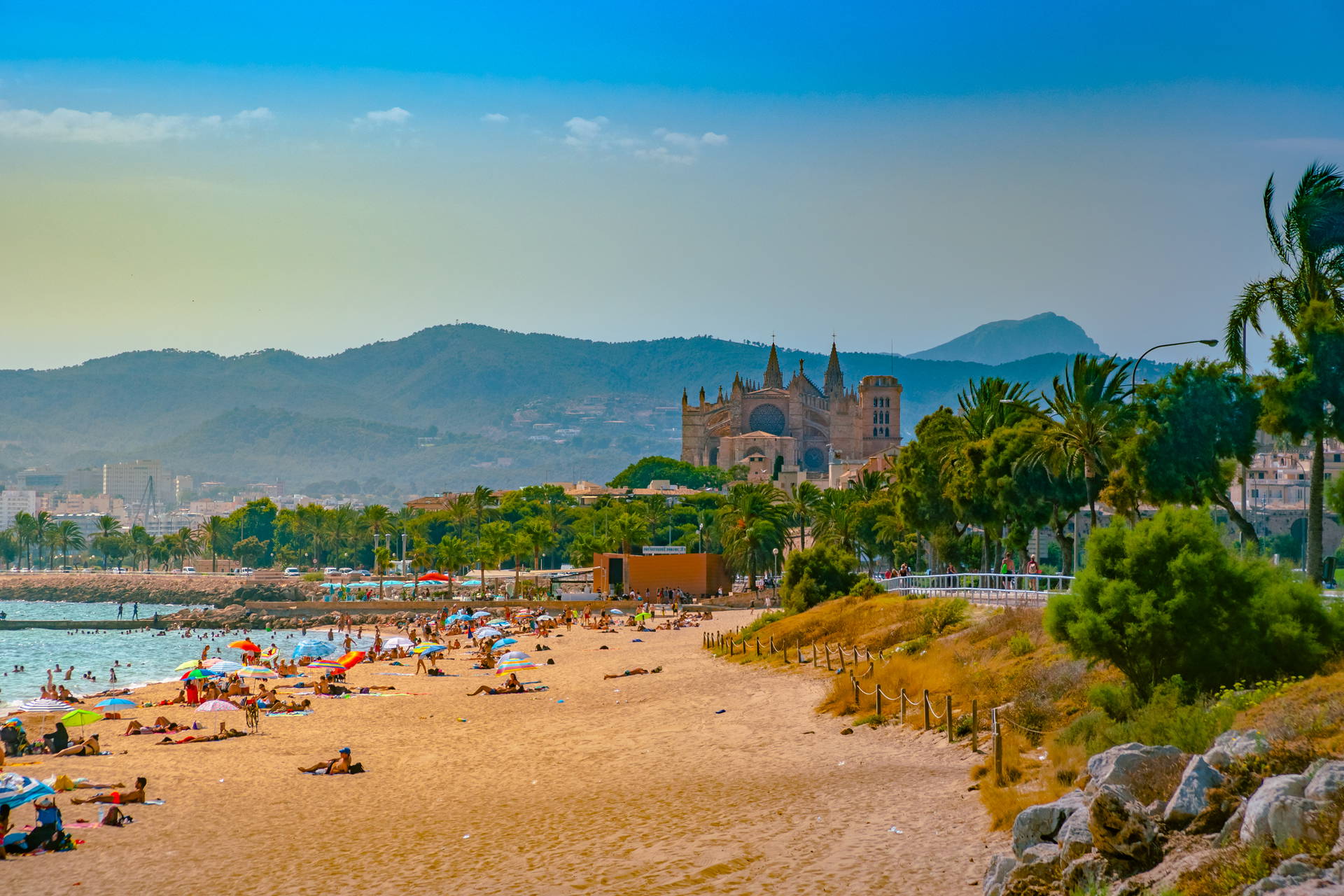 Plaża w Palma de Mallorca z katedrą w tle.