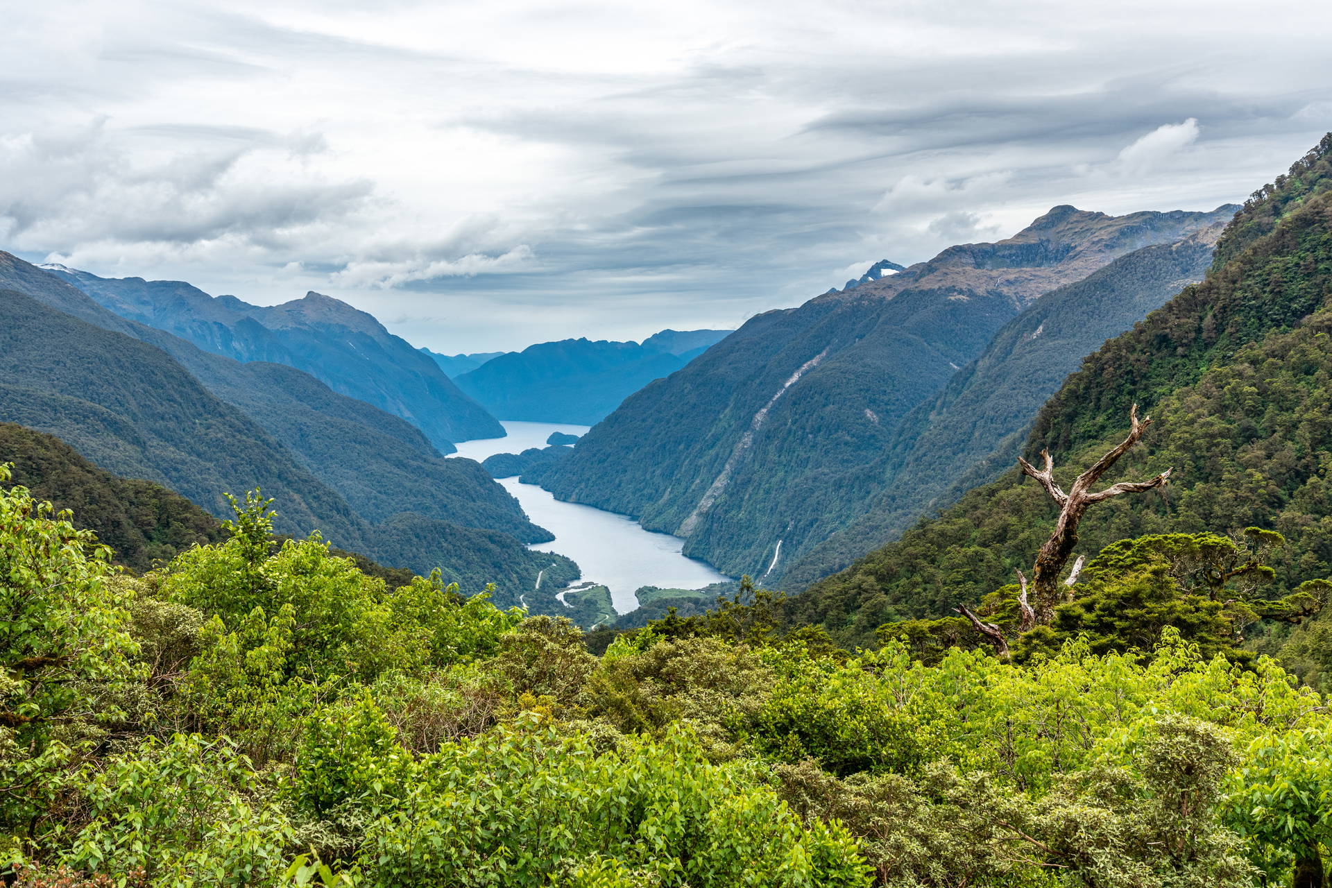Fiordland w Nowej Zelandii: góry i jezioro.