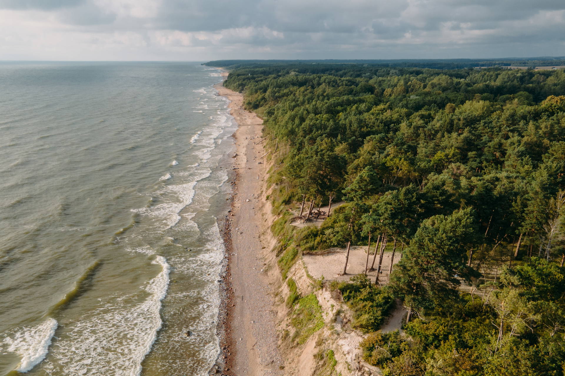 Klify nad Bałtykiem widziane z lotu ptaka. Wzdłuż plaży rozciąga się gęsty, zielony las.