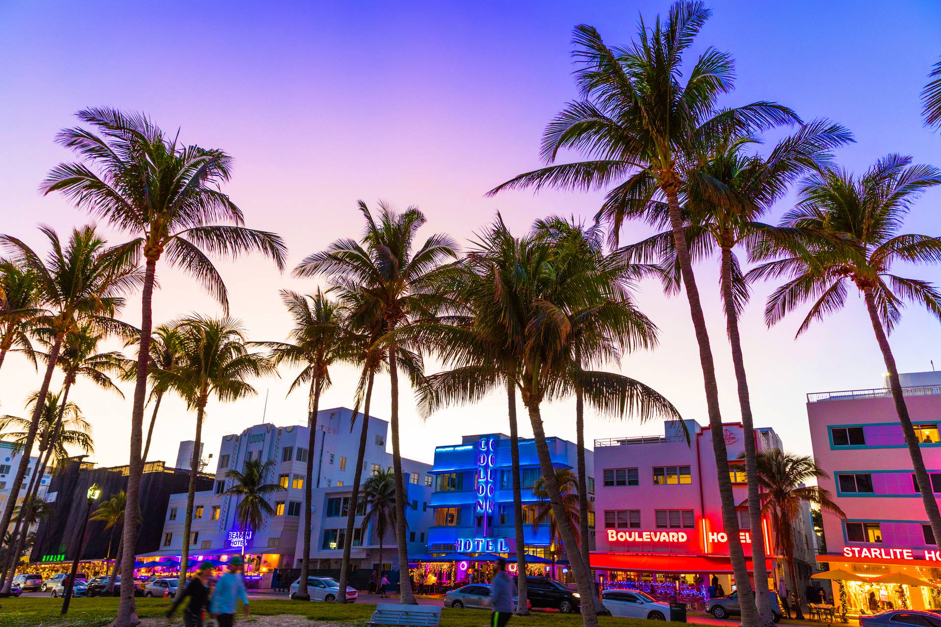 Miami Beach o zmierzchu: palmy i neony hoteli.