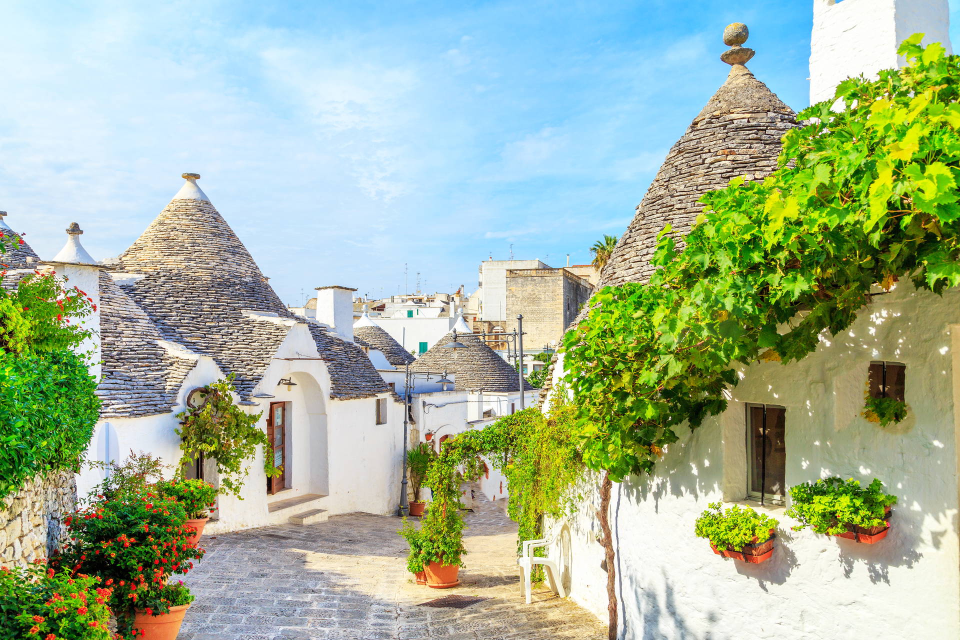 Ulica w Alberobello z białymi domami trulli.