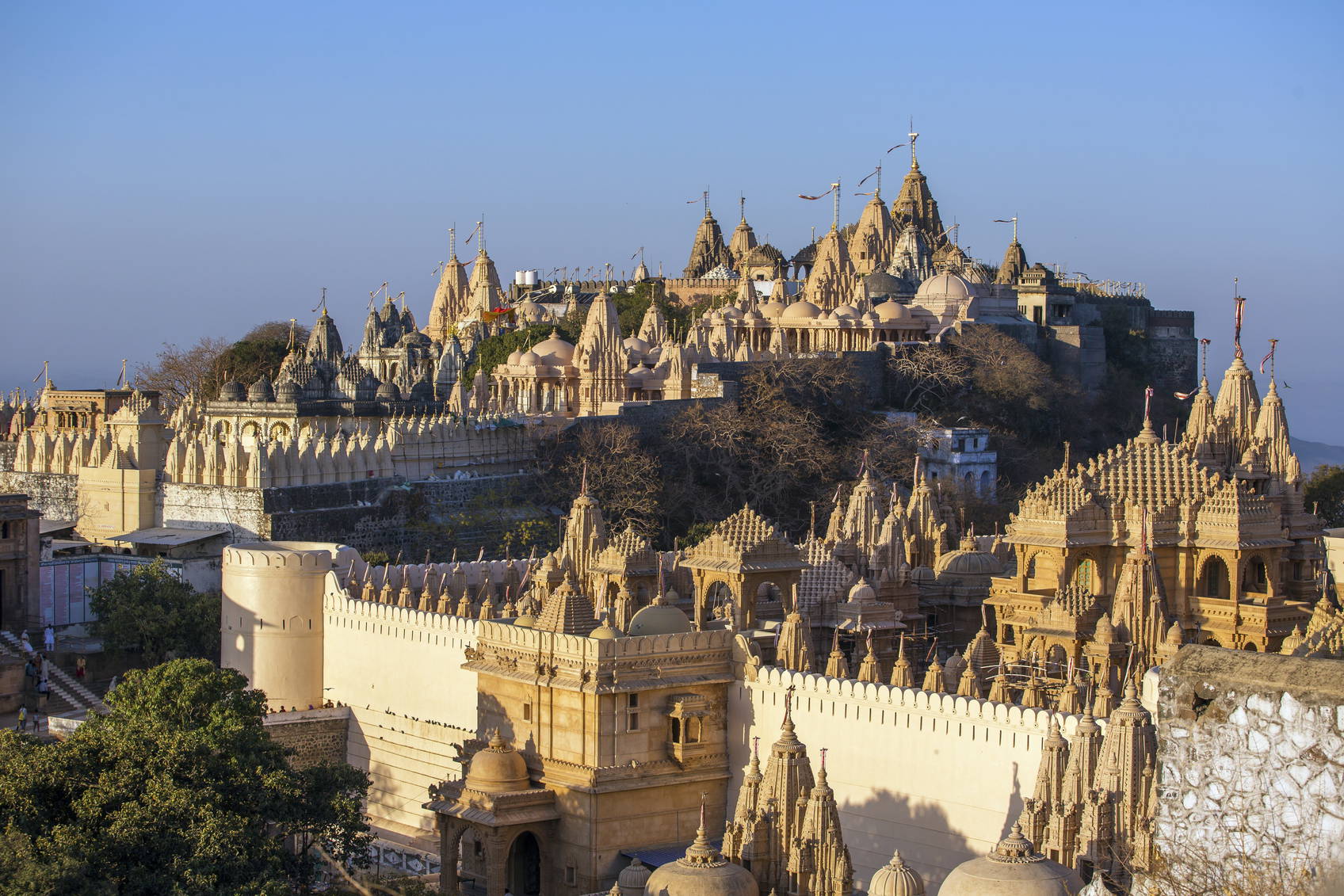 Wzgórze świątynne Shatrunjaya w Indiach.