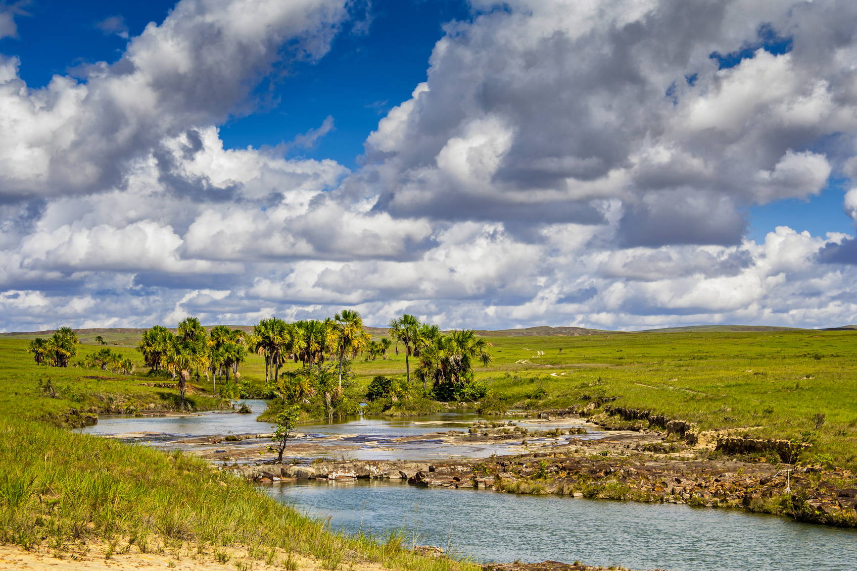 Rzeka, trawy i palmy w krajobrazie pod pochmurnym niebem.