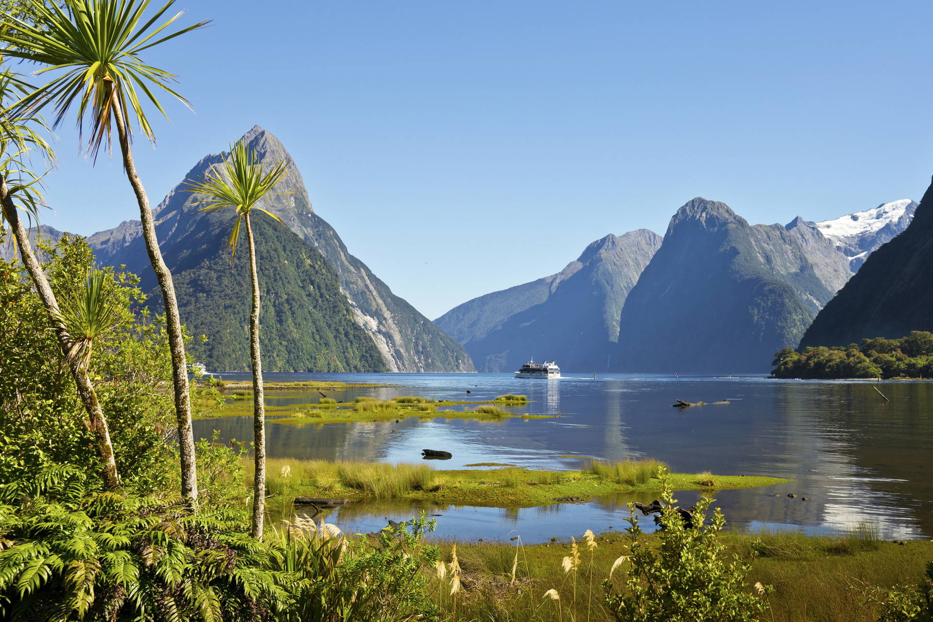 Milford Sound w Nowej Zelandii: widok na fiord z palmami, wodą i górami.