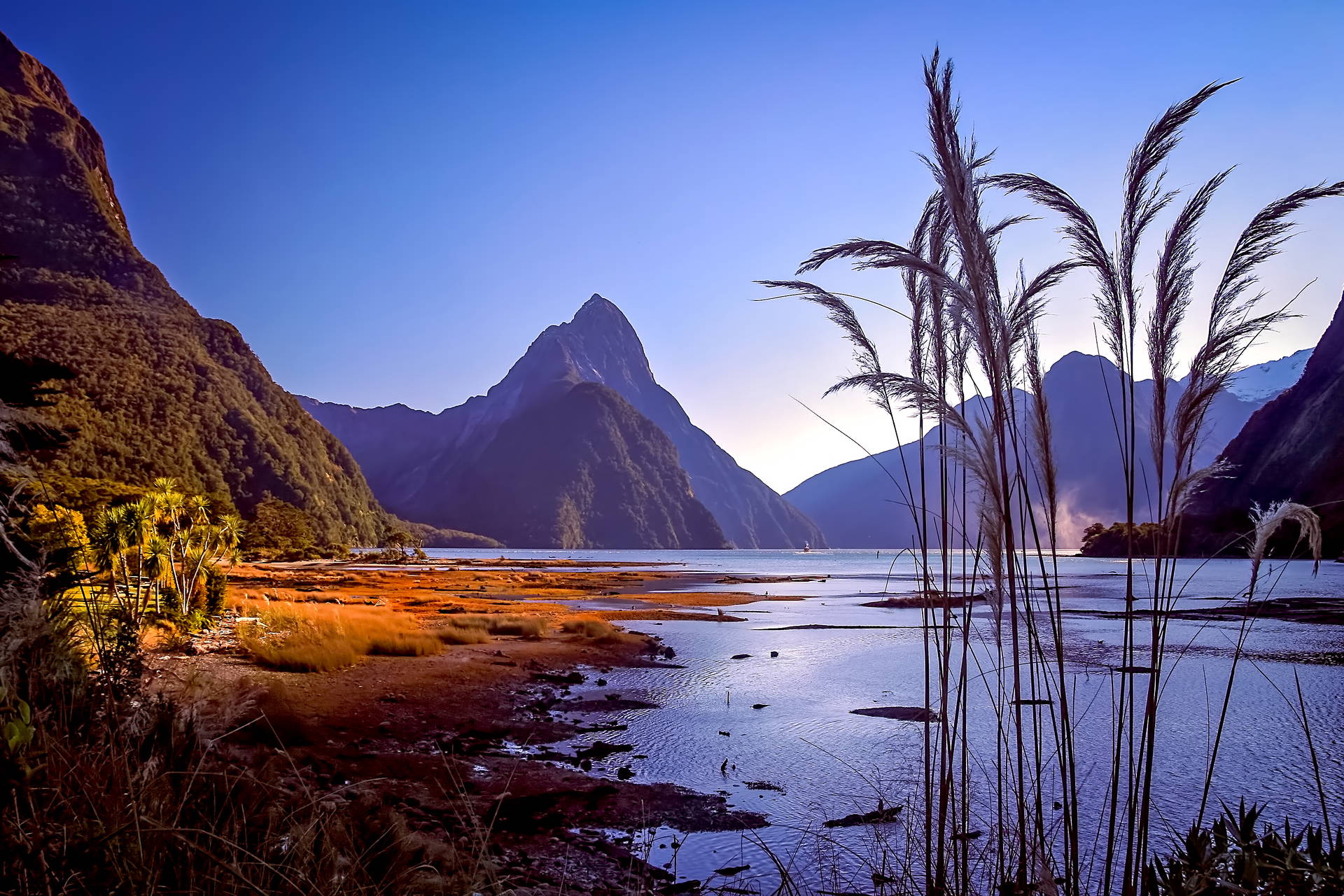 Milford Sound: widok na góry, wodę i roślinność.