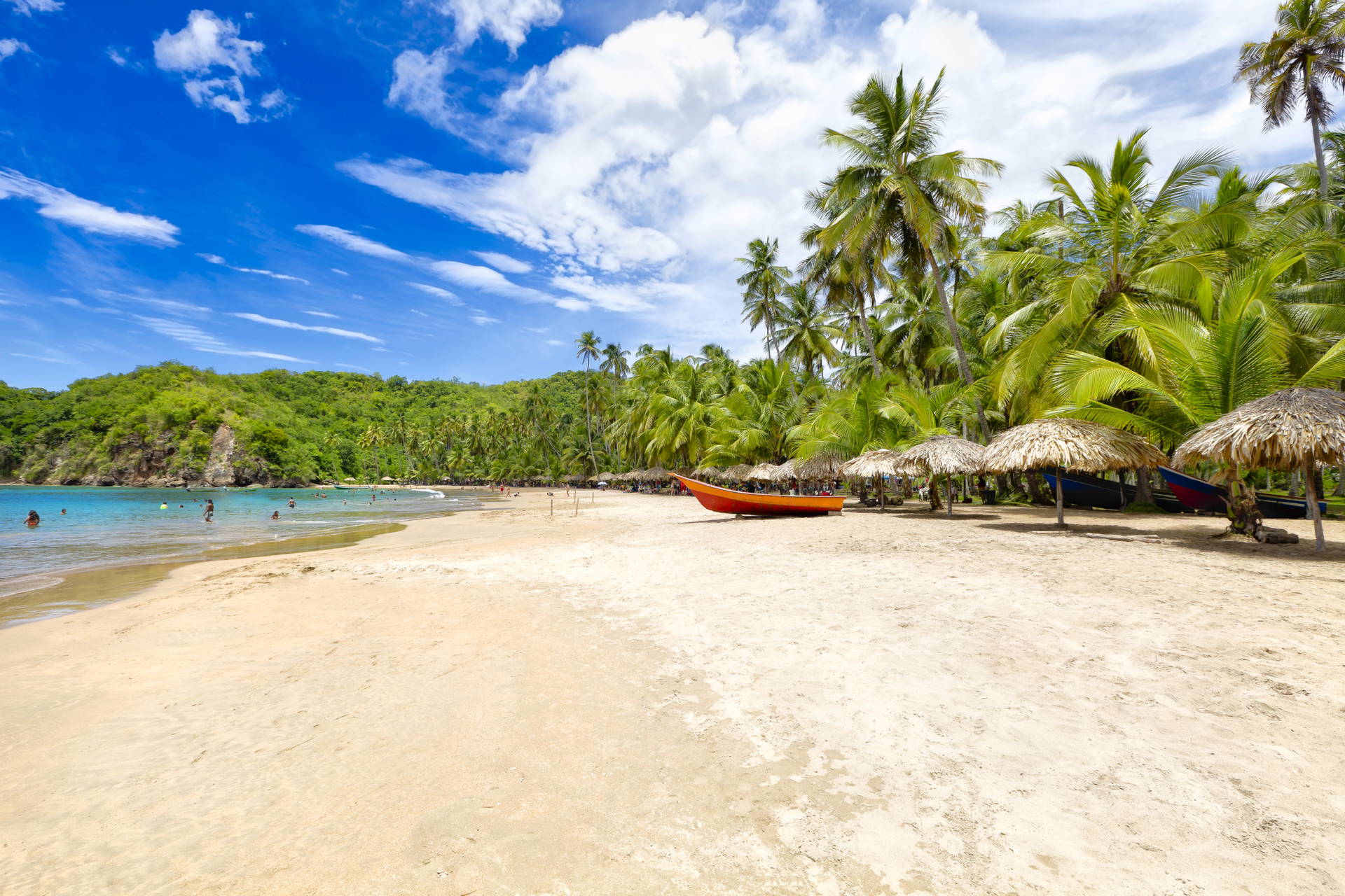 Plaża z palmami i łódkami.