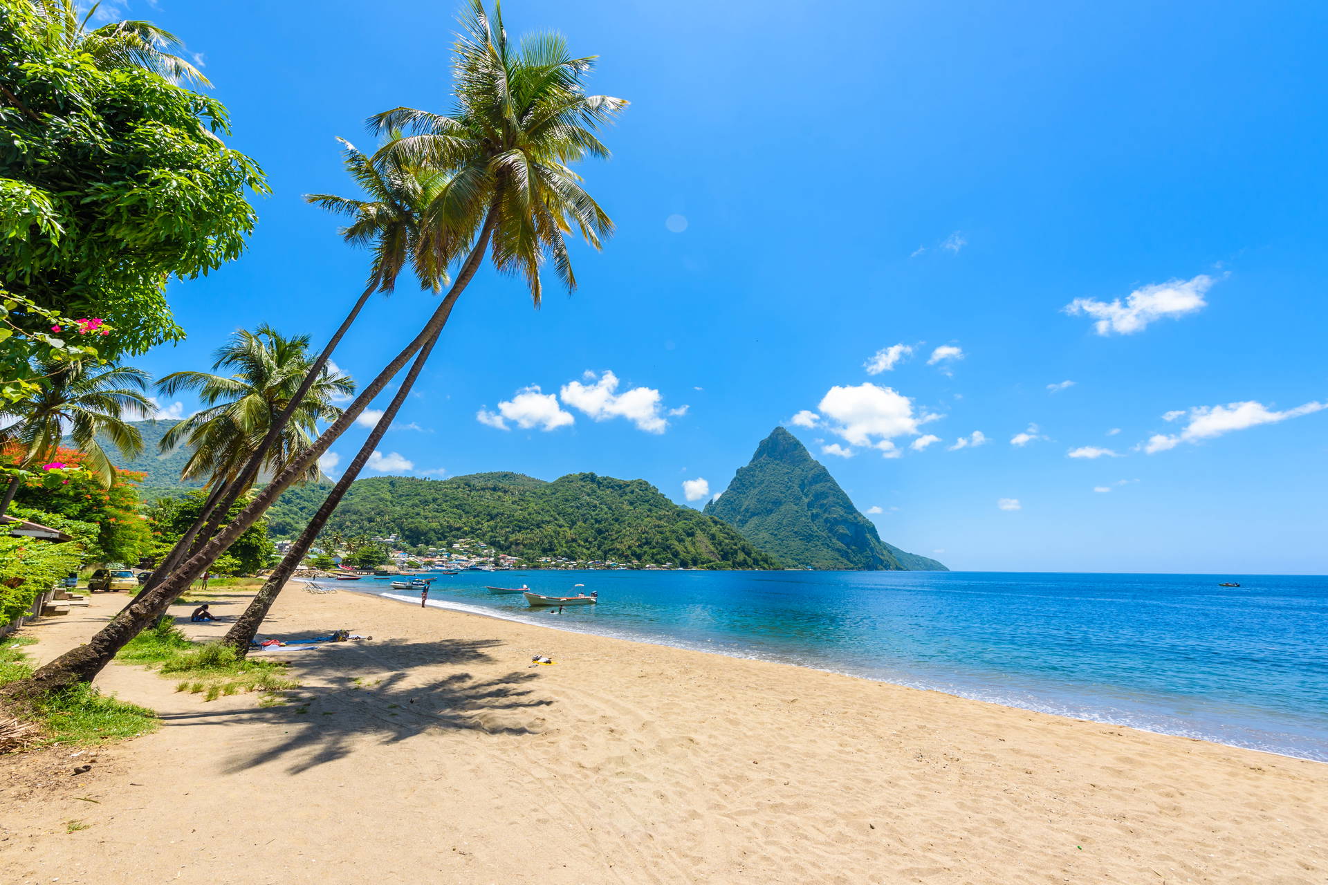 Plaża z palmami i widokiem na Piton, Saint Lucia.