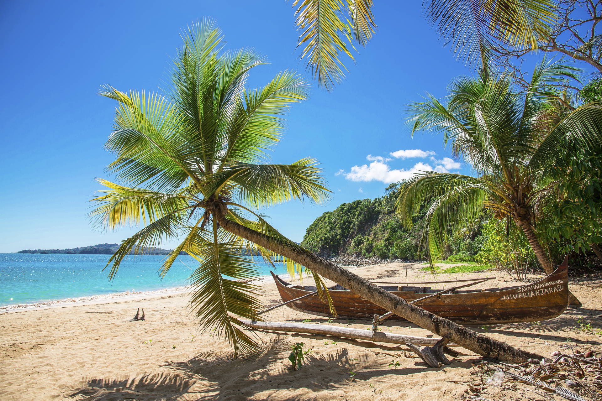 Plaża z palmami i łodzią rybacką na brzegu.