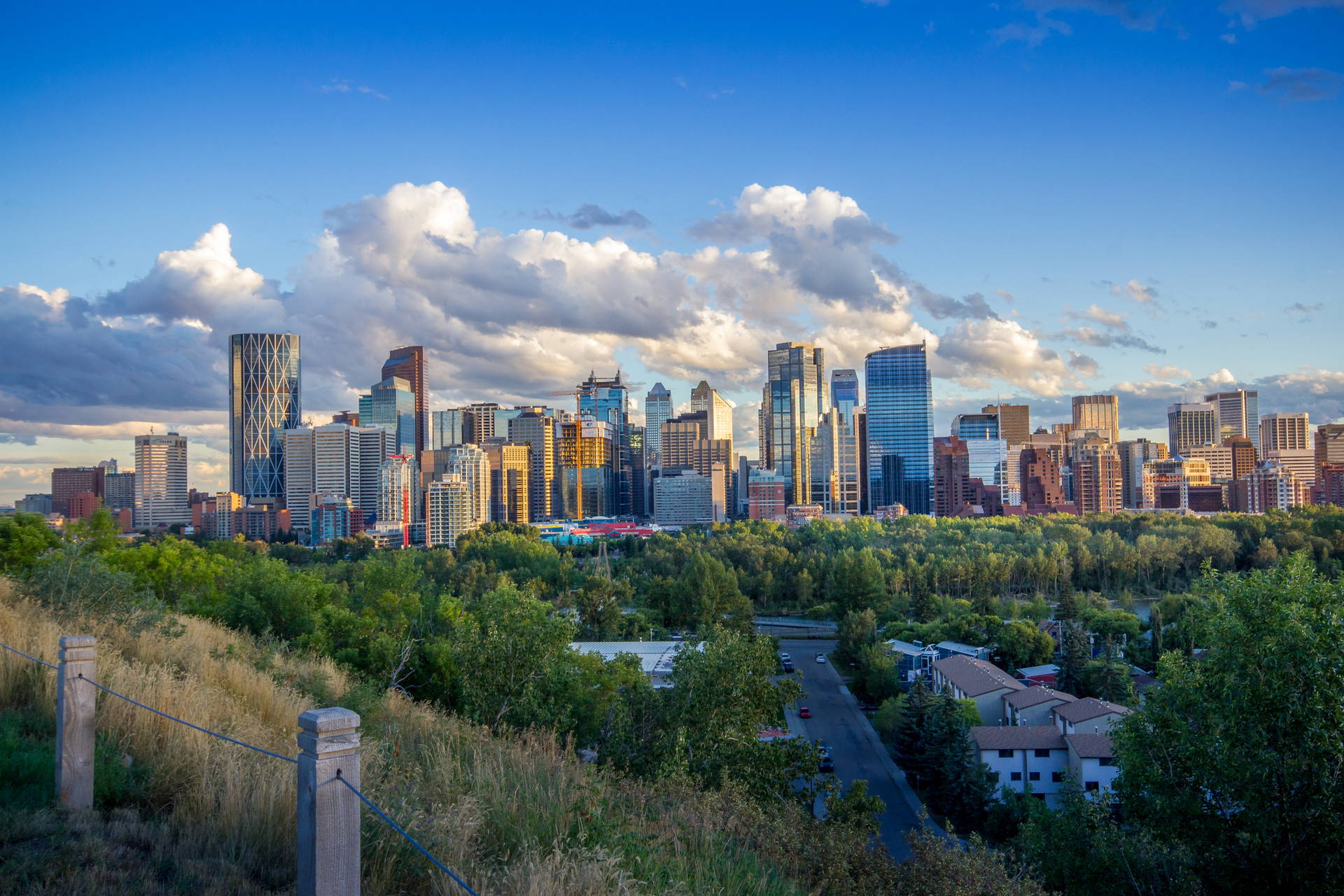 Panorama Calgary w Kanadzie z zielenią na pierwszym planie i błękitnym niebem.