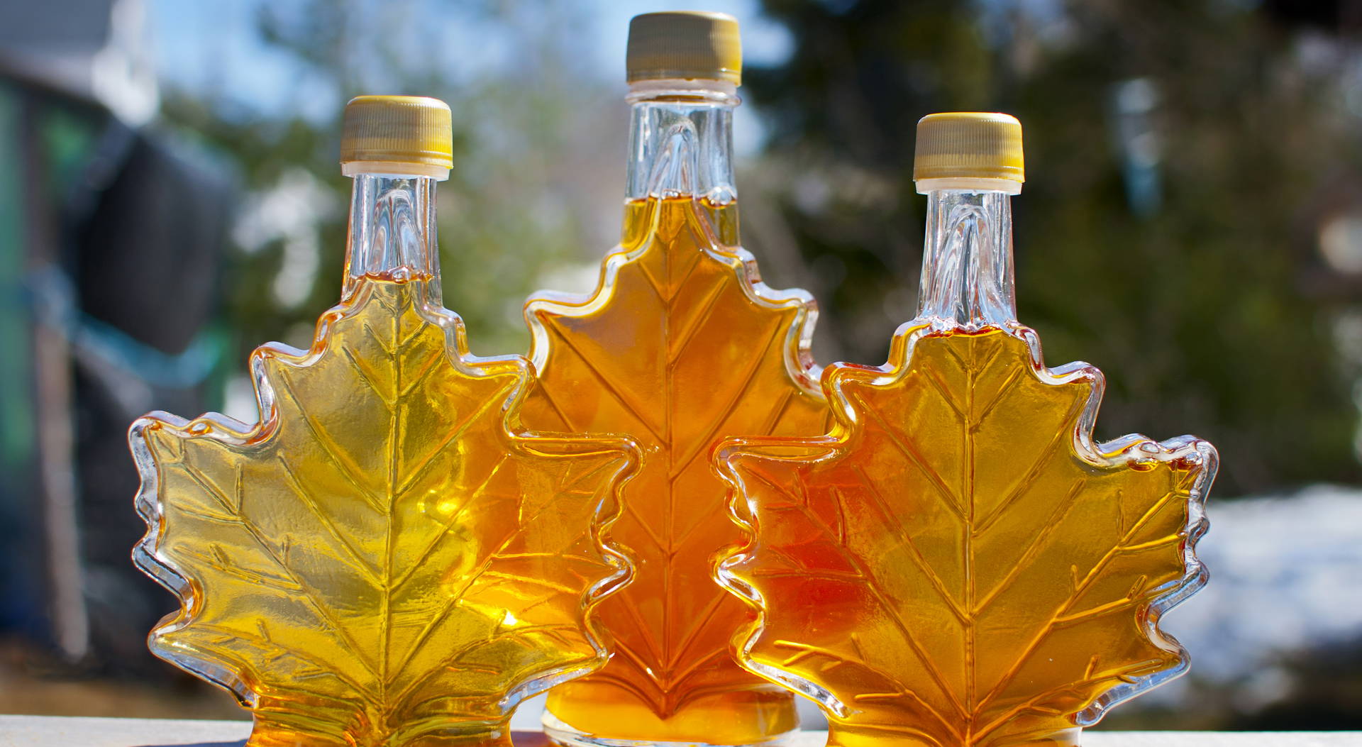 Kuchnia kanadyjska – więcej niż syrop klonowy. Co jedzą w Kanadzie?