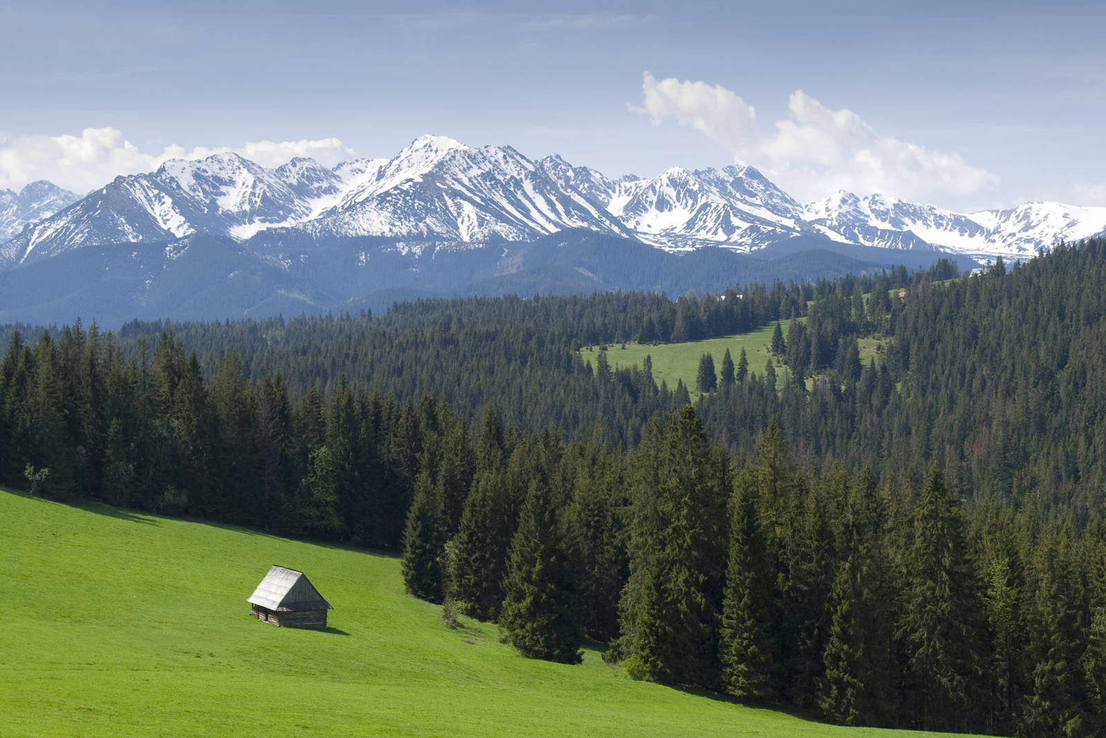 Drewniana chata na zielonej łące w górach. W tle ośnieżone szczyty.