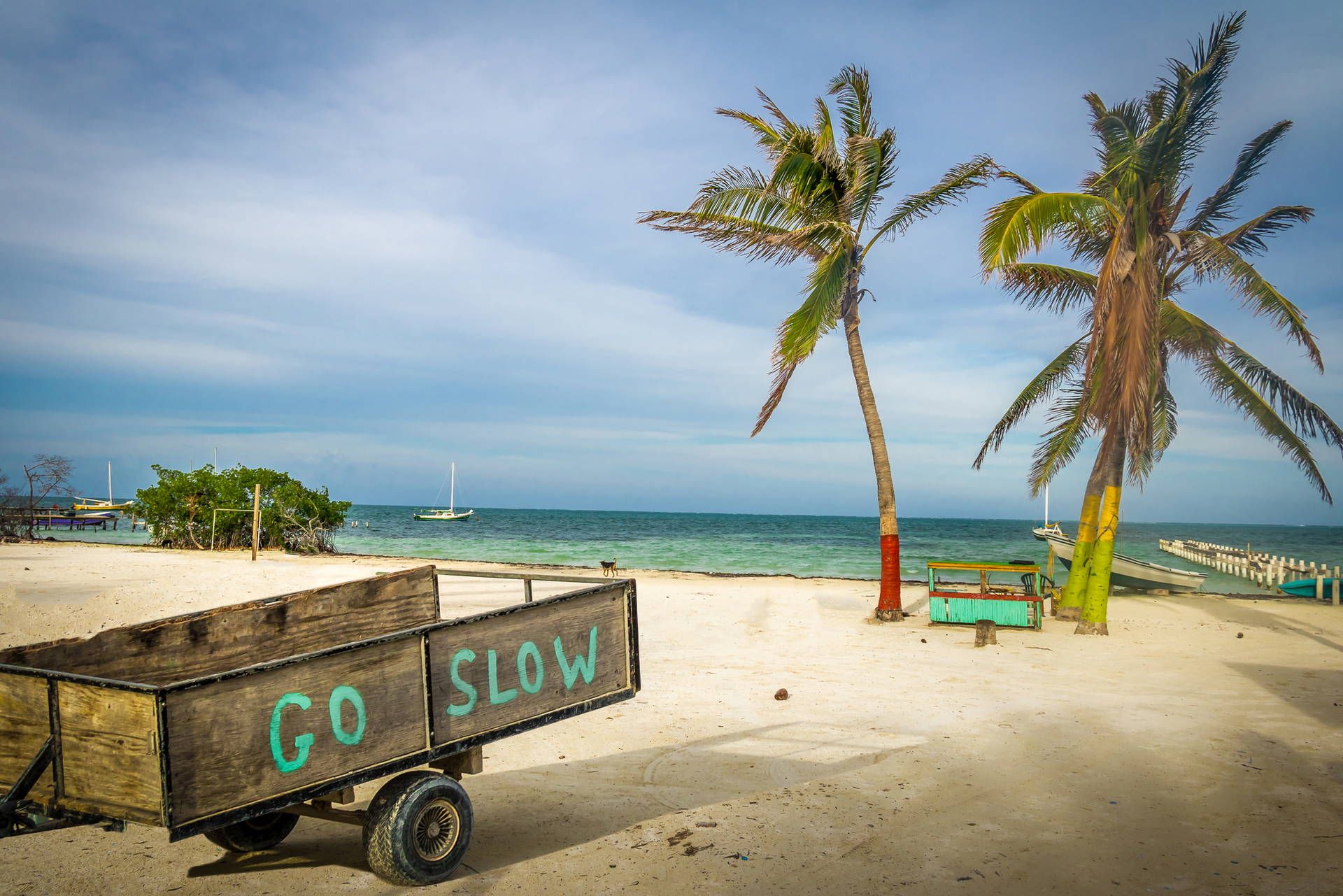 Plaża z palmami i wózek z napisem "GO SLOW".