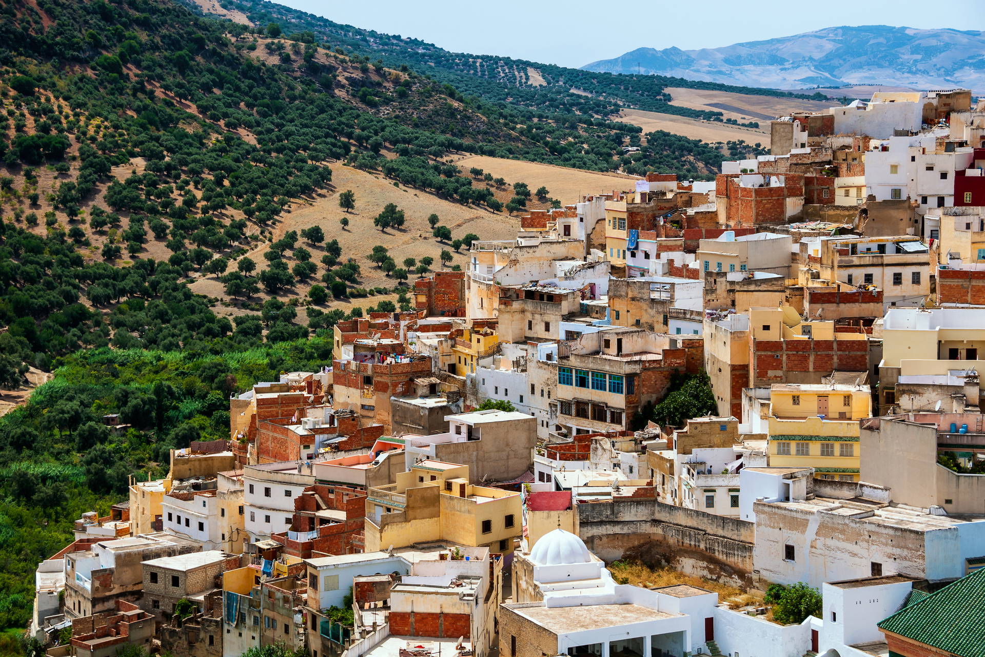 Miasto Moulay Idriss w Maroku, zabudowane na wzgórzu.