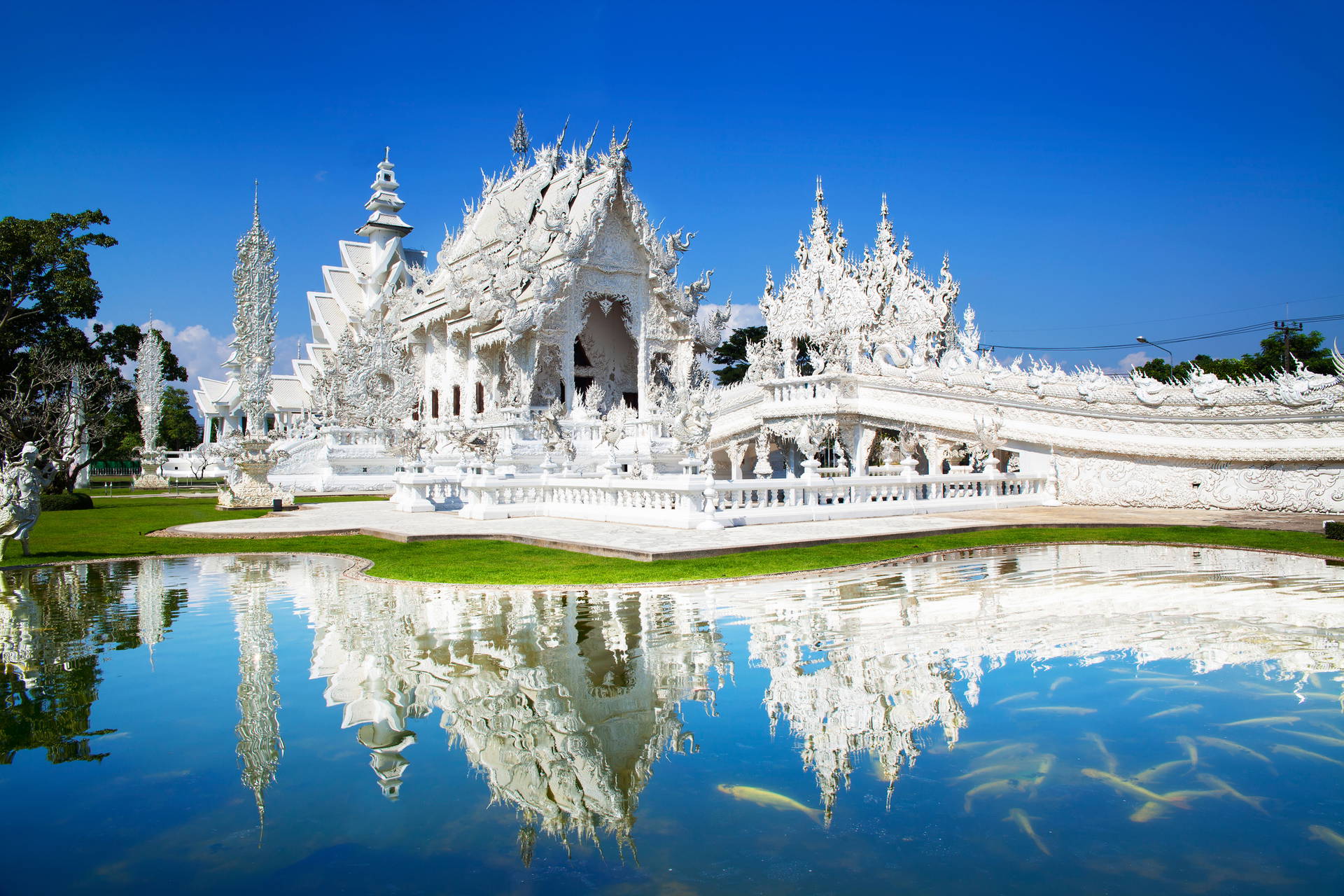Biała Świątynia Wat Rong Khun w Tajlandii odbita w stawie.