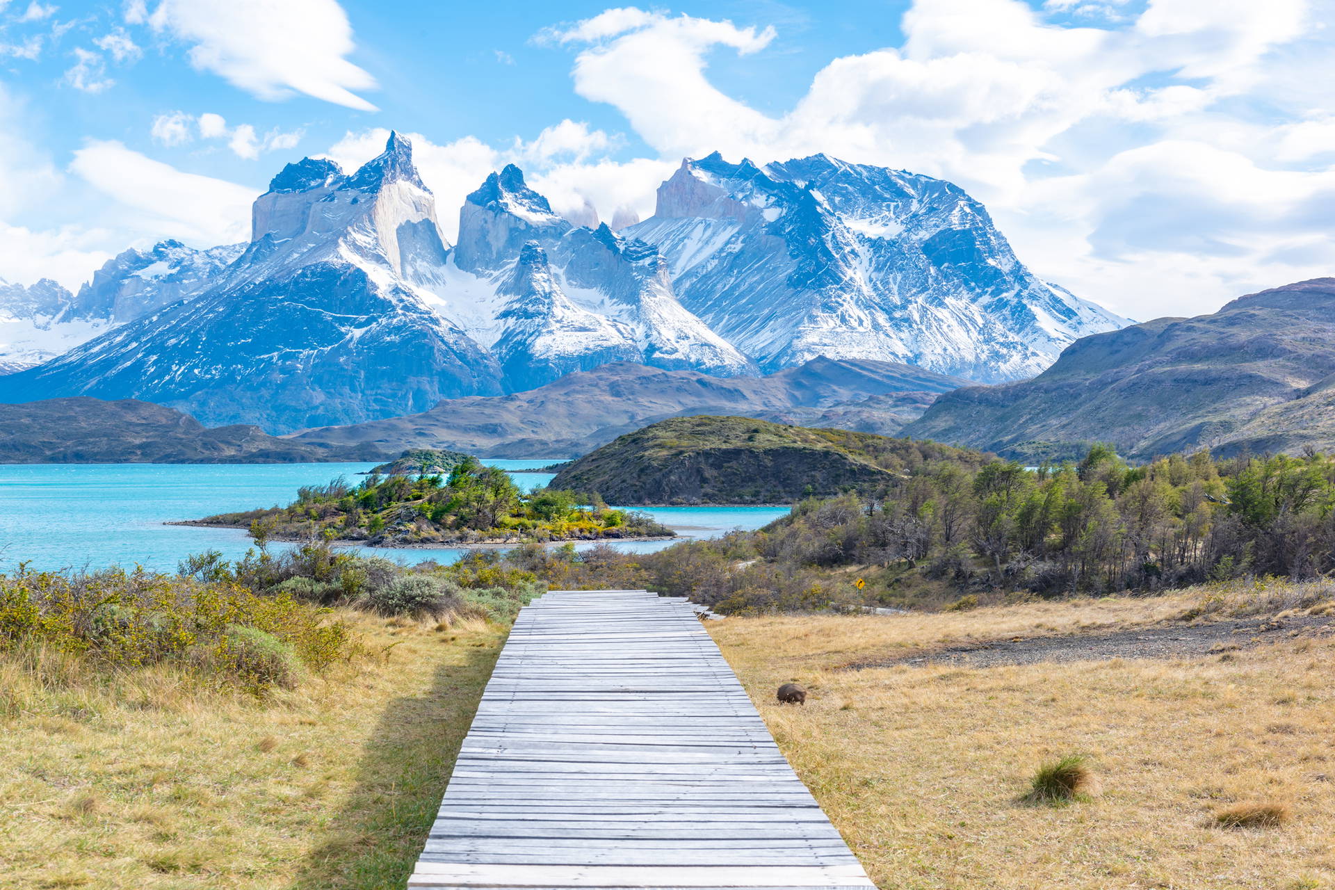 Drewniana ścieżka w Parku Narodowym Torres del Paine prowadząca w kierunku jeziora i gór.