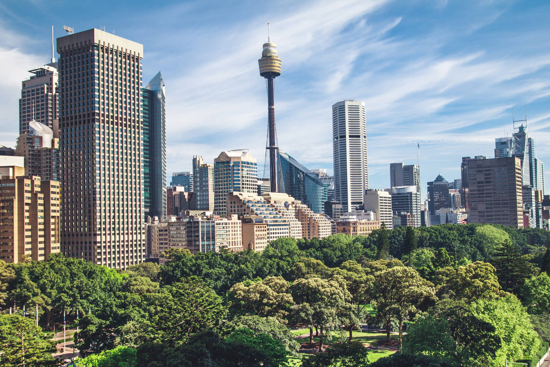 Panorama Sydney z wieżą Sydney Tower i parkami.