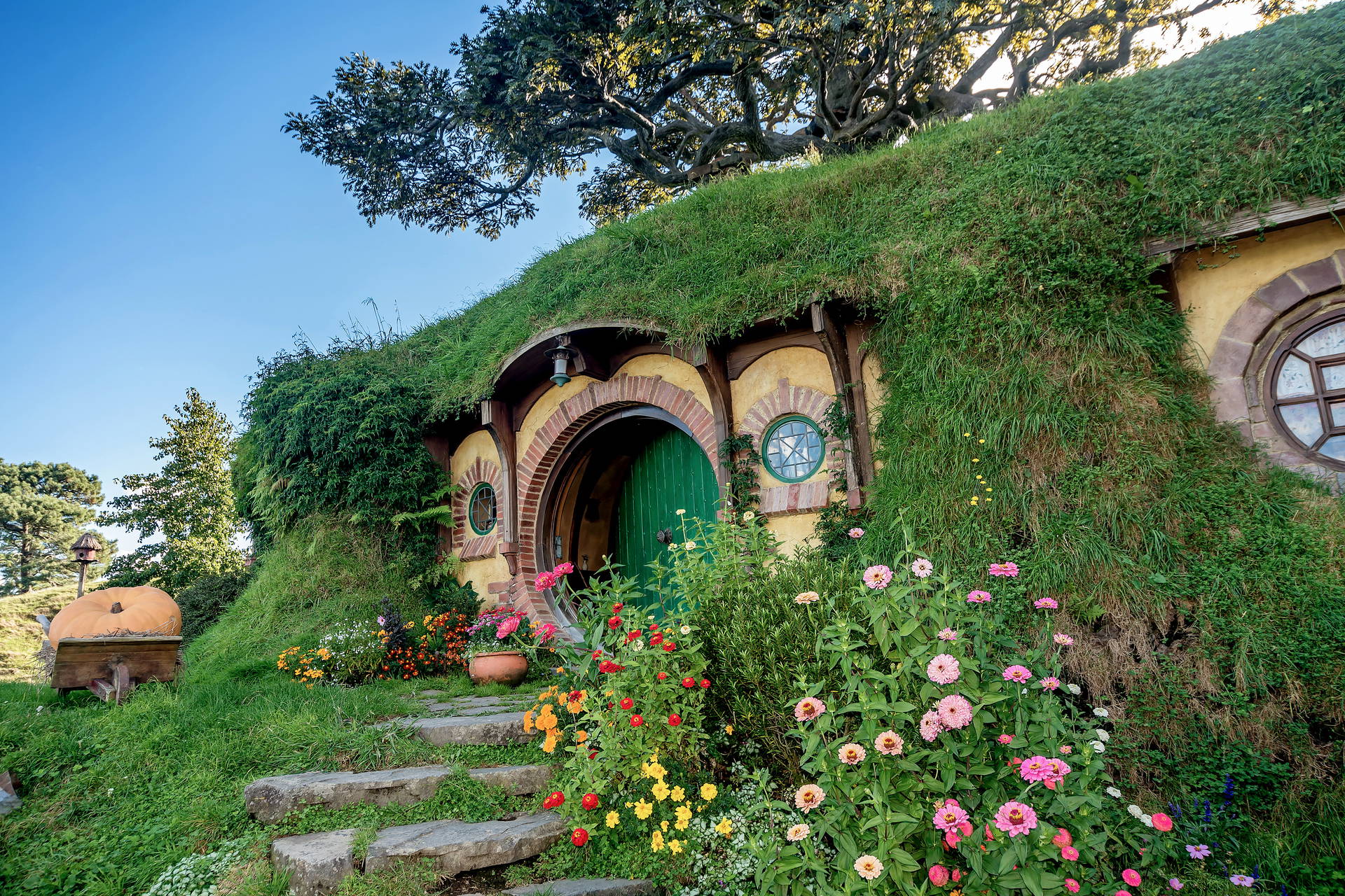 Hobbiton w Nowej Zelandii. Wejście do norki hobbita z okrągłymi drzwiami i oknami.