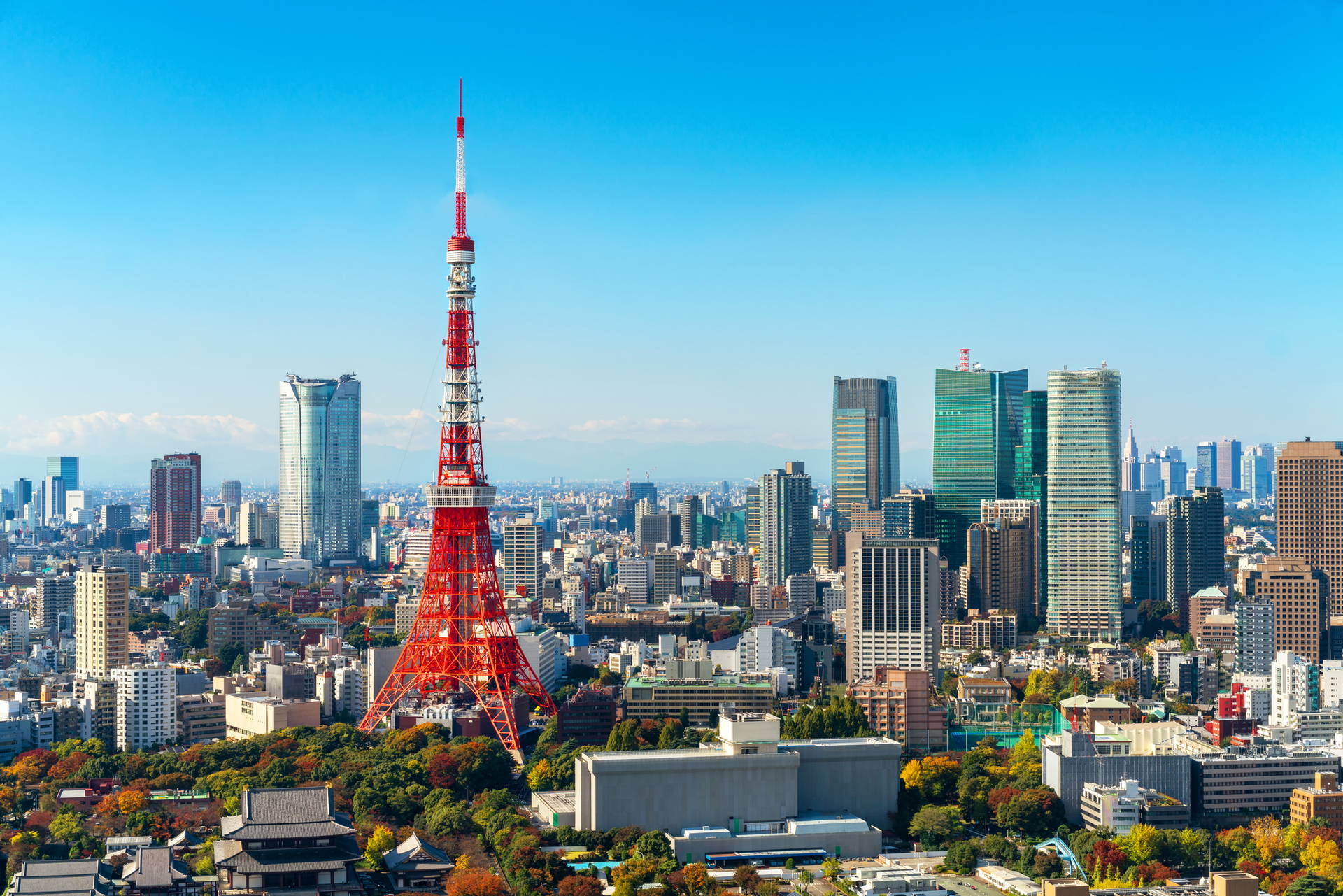 Panorama Tokio z Wieżą Tokijską.
