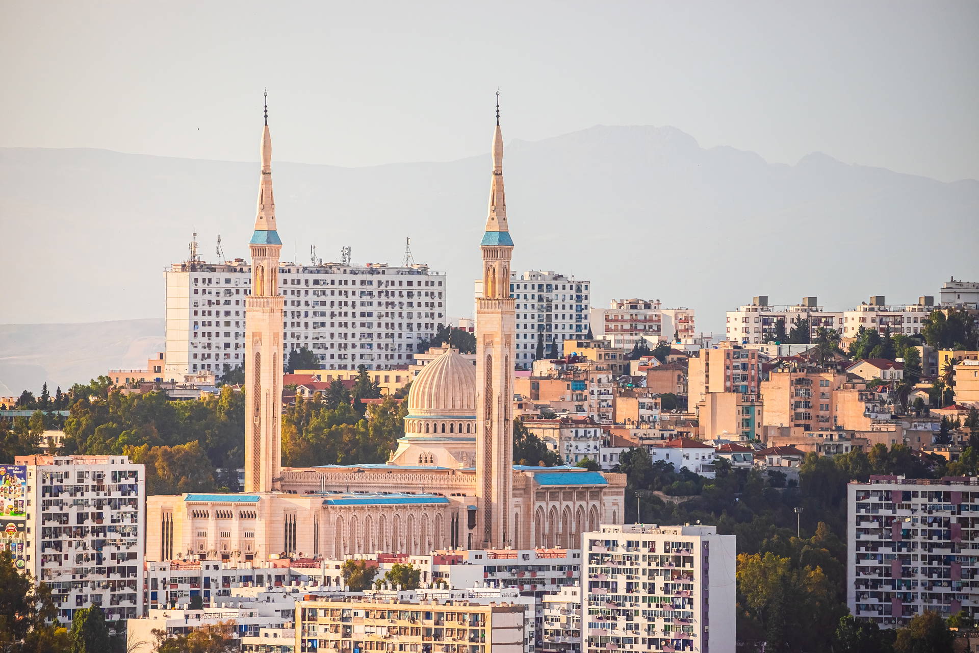 Panorama Algieru z widocznym Wielkim Meczetem.