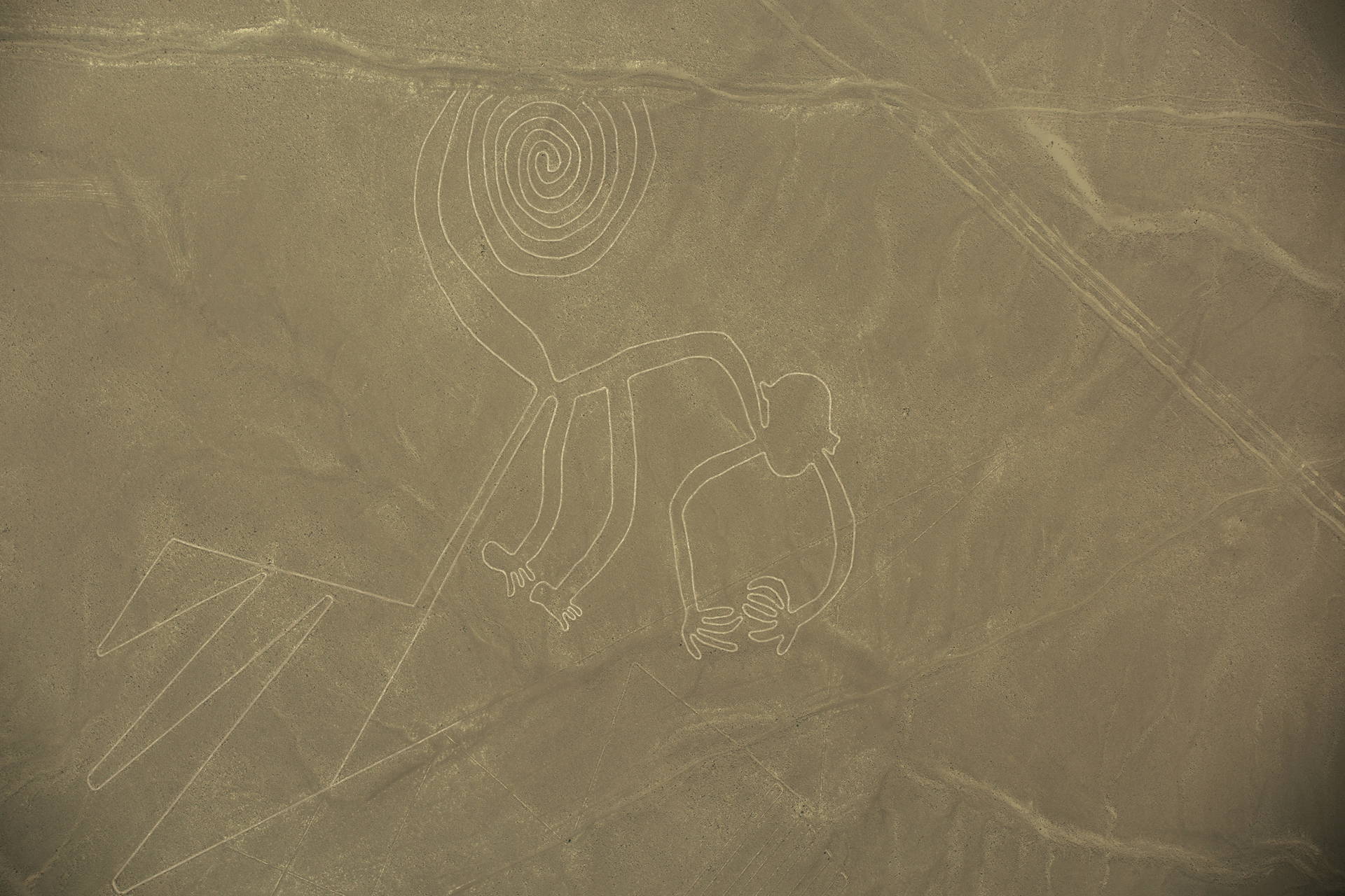 Geoglif przedstawiający małpę na pustyni Nazca w Peru.