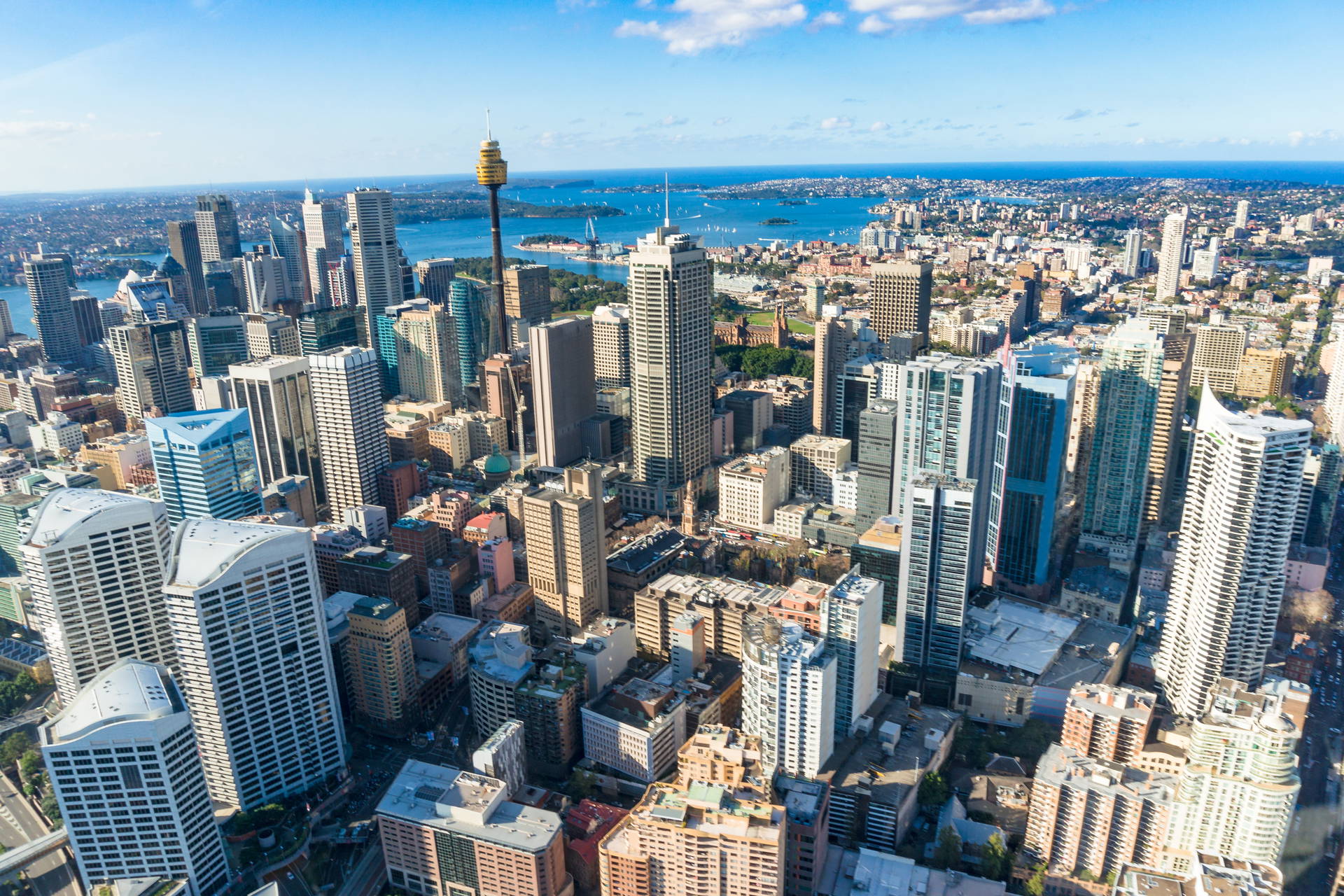 Panorama Sydney z Sydney Tower, widok z lotu ptaka.