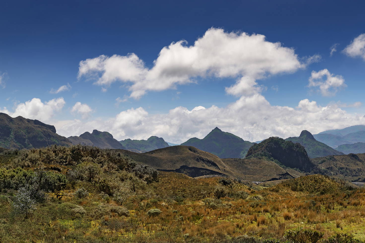 Krajobraz andyjski z wulkanem Chimborazo.