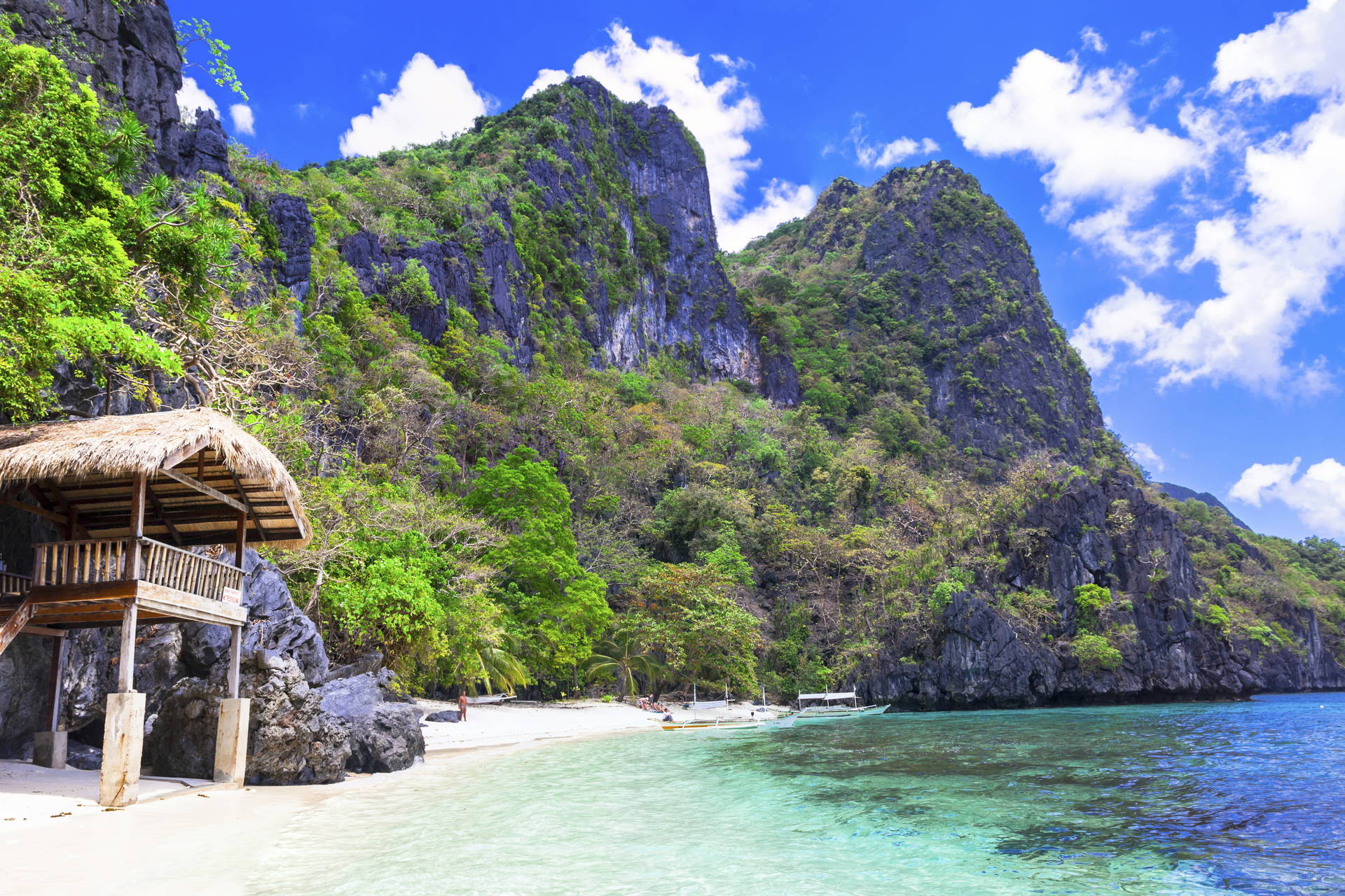 Plaża z chatą u stóp stromych, zalesionych klifów.