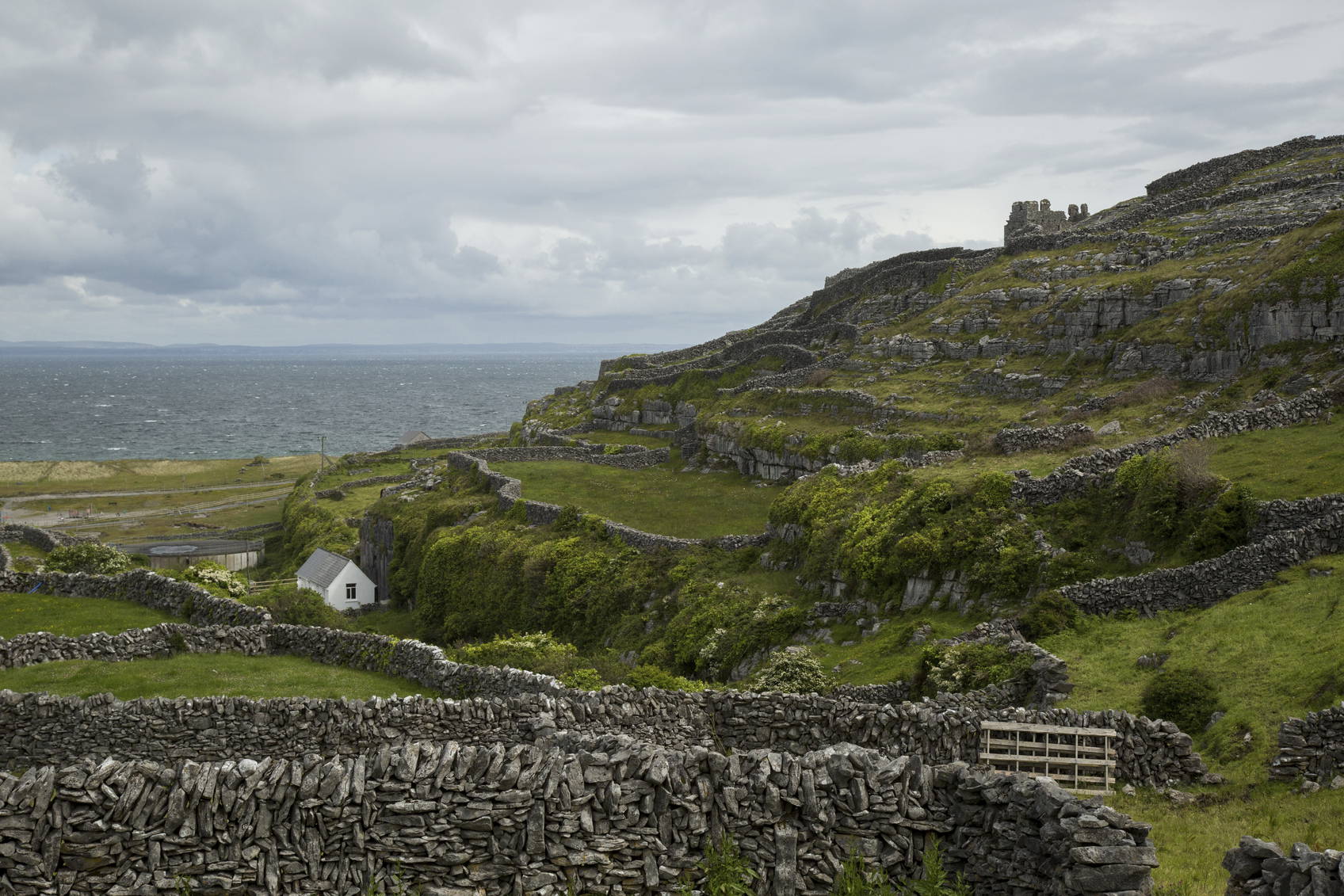 Krajobraz wyspy Inisheer z kamiennymi murkami, białym domem i ruinami zamku na wzgórzu.