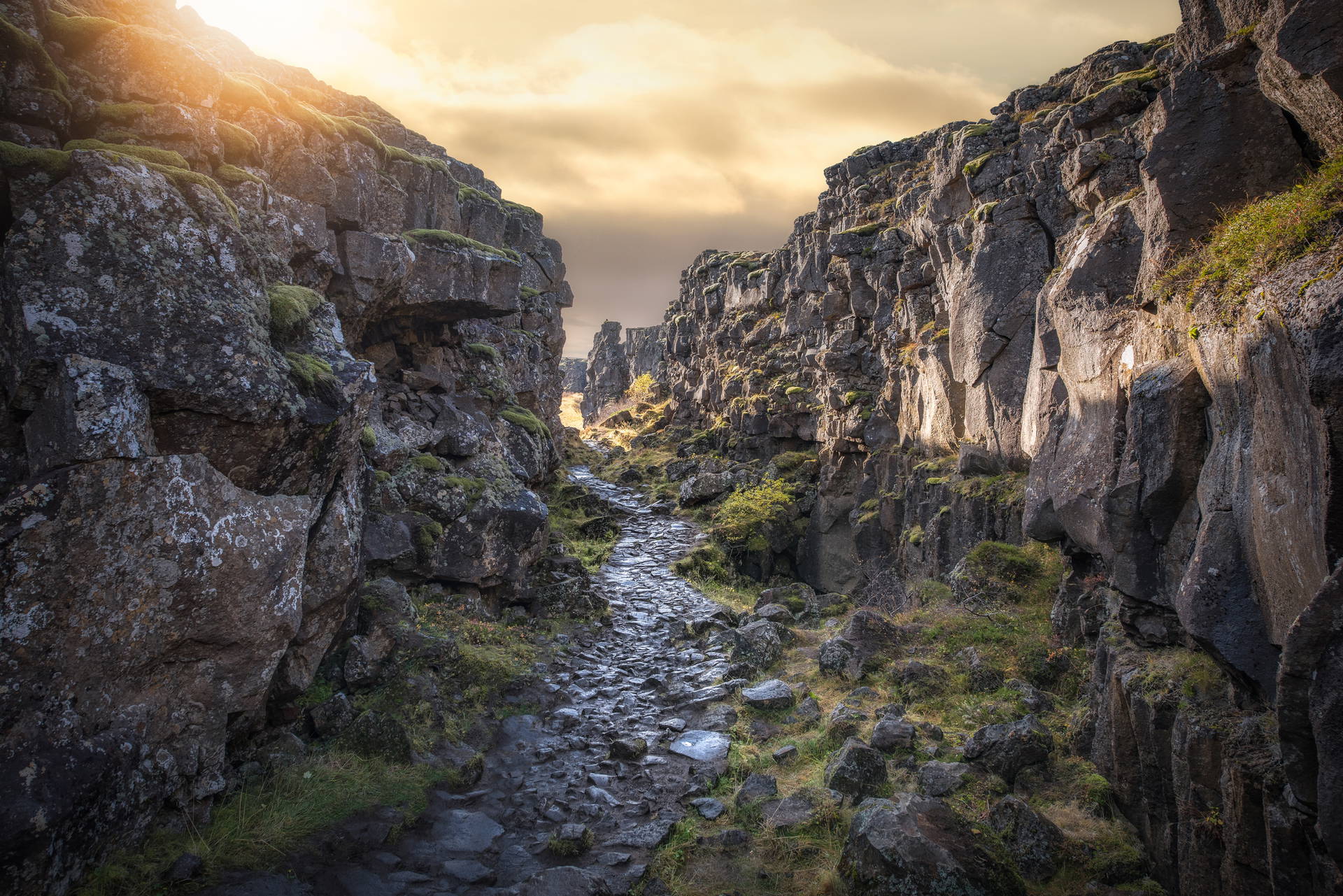 Kamienista ścieżka w wąwozie Thingvellir, Islandia.