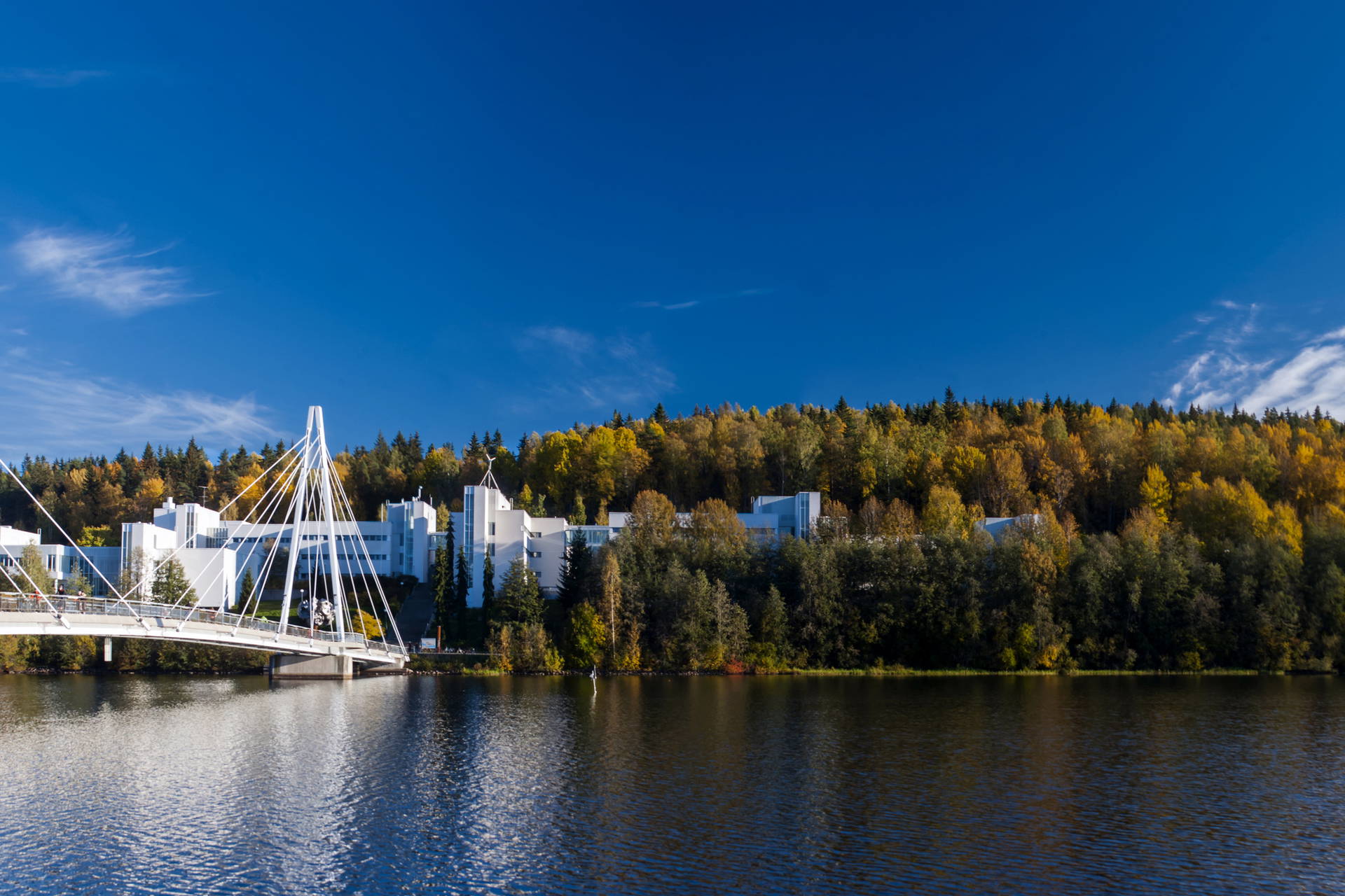 Most Ylistö w Jyväskylä, Finlandia.