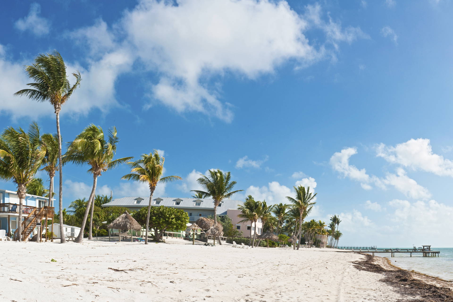 Plaża z białym piaskiem, palmami i budynkami w tle. Błękitne niebo.