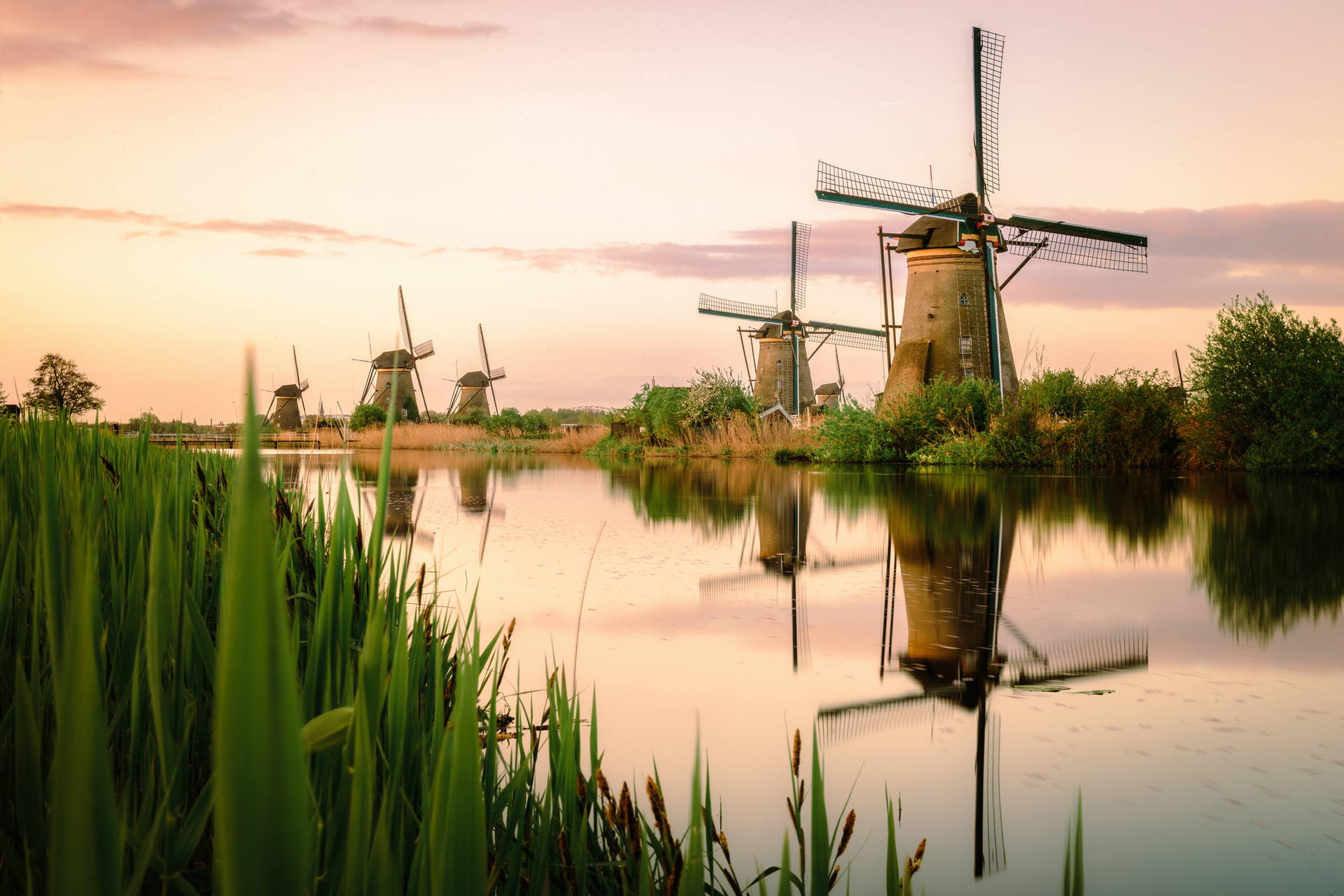 Wiatraki w Kinderdijk odbijające się w wodzie.