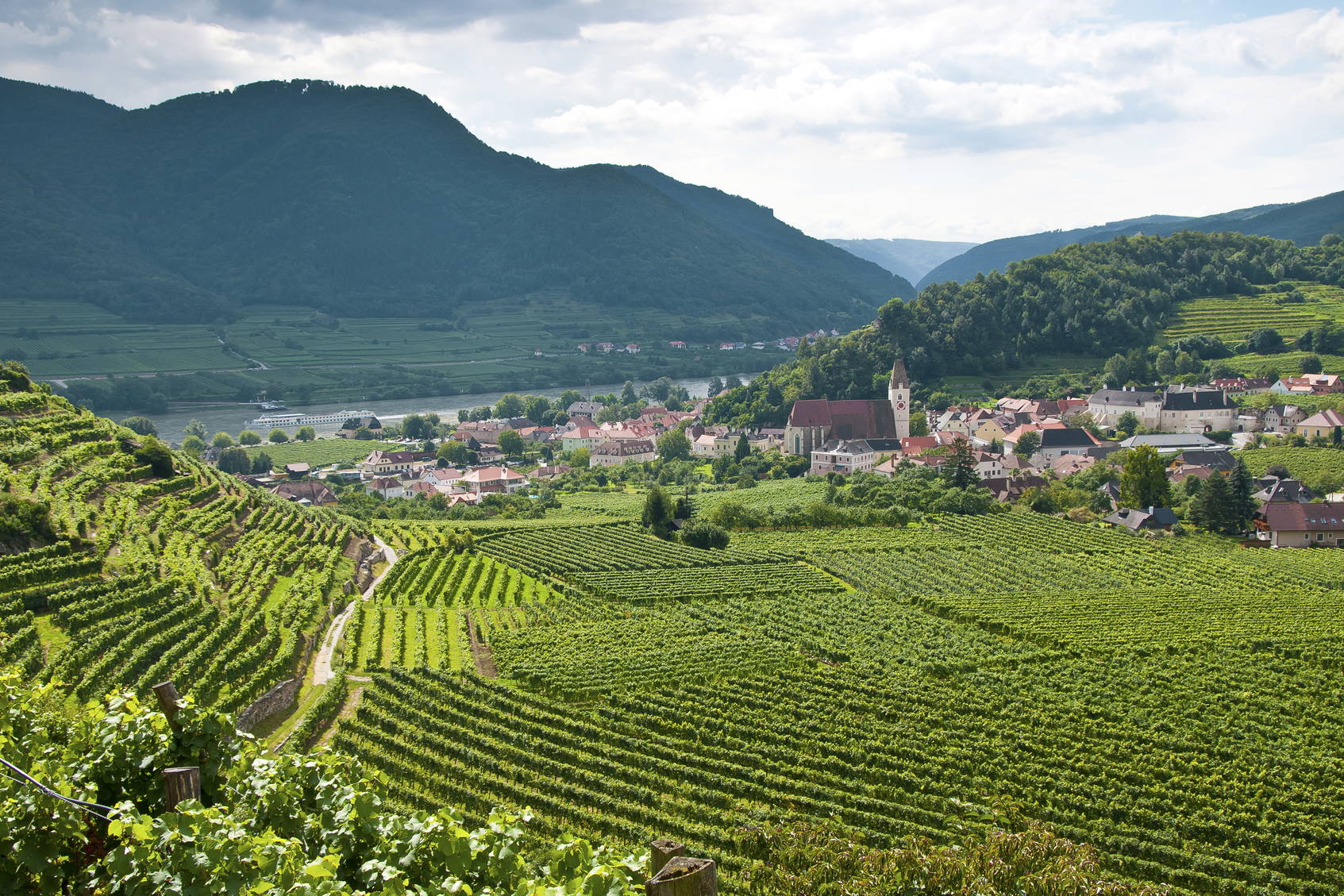 Krajobraz Wachau w Austrii: winnice nad rzeką i miasto w tle.