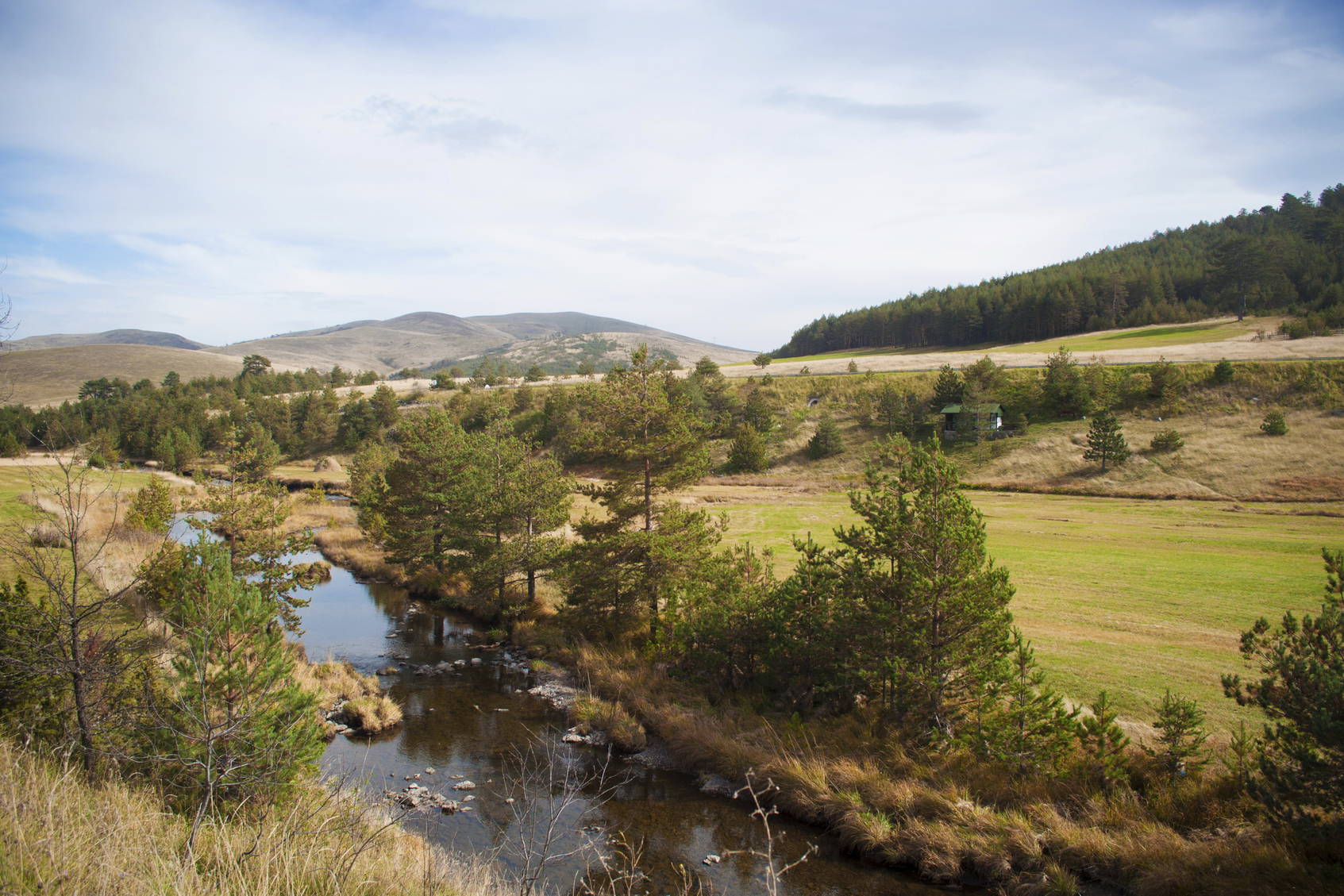 Rzeka z drzewami na brzegu i wzgórzami w oddali.