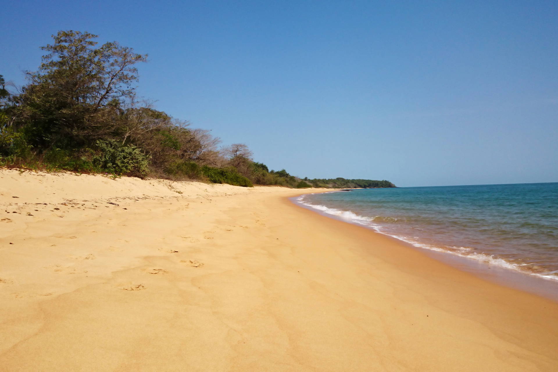 Piaszczysta plaża z widokiem na wodę i zieleń.