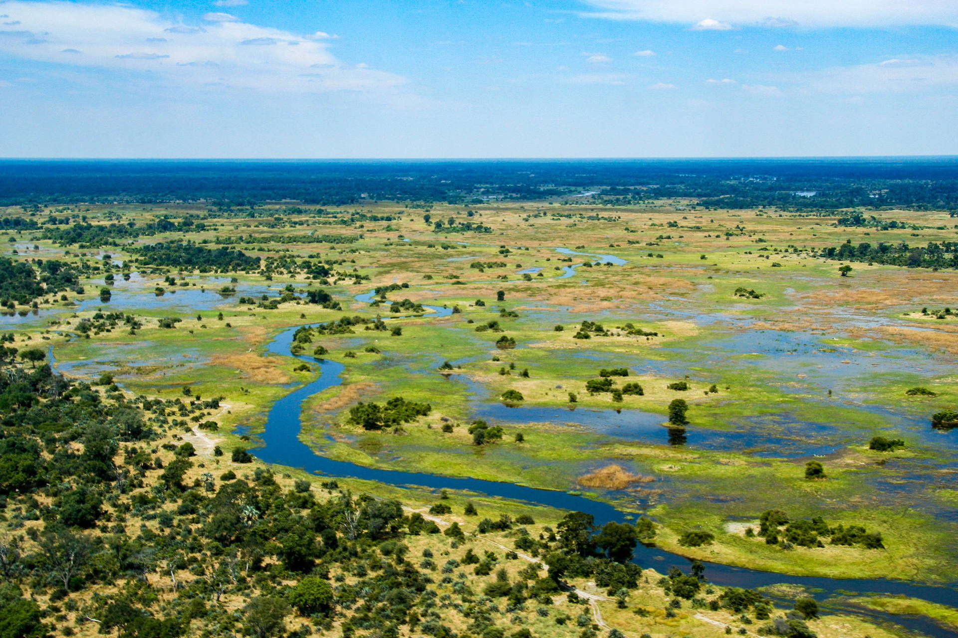 Delta Okawango z lotu ptaka.