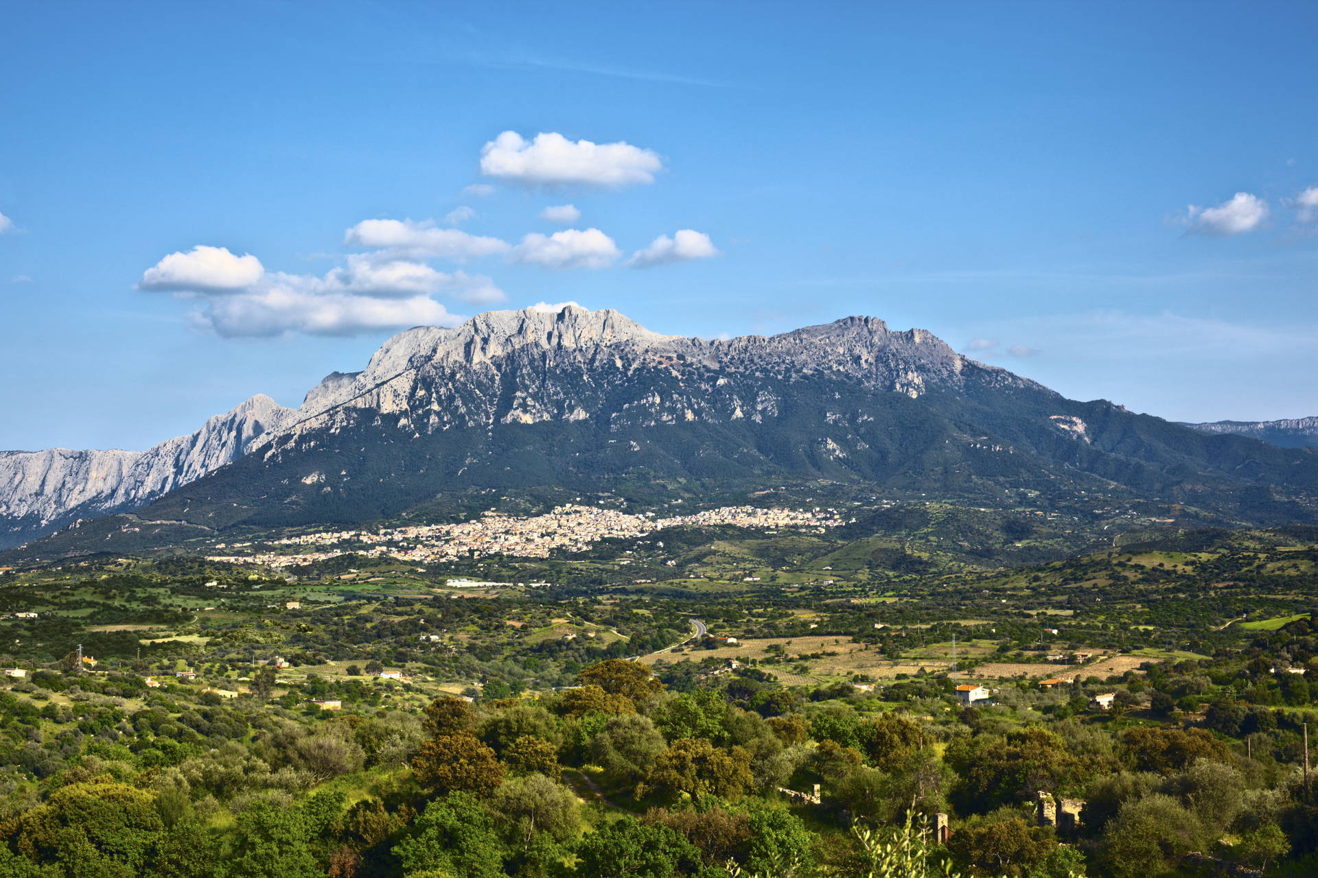 Krajobraz z górą Monte Albo na Sardynii.