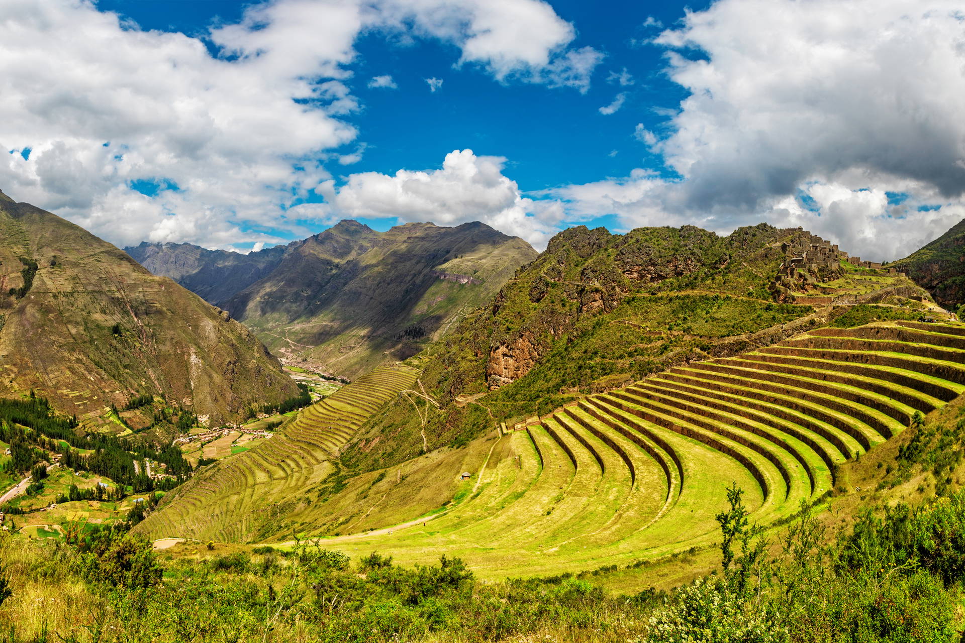 Zielone tarasy uprawne w Ollantaytambo, Peru.