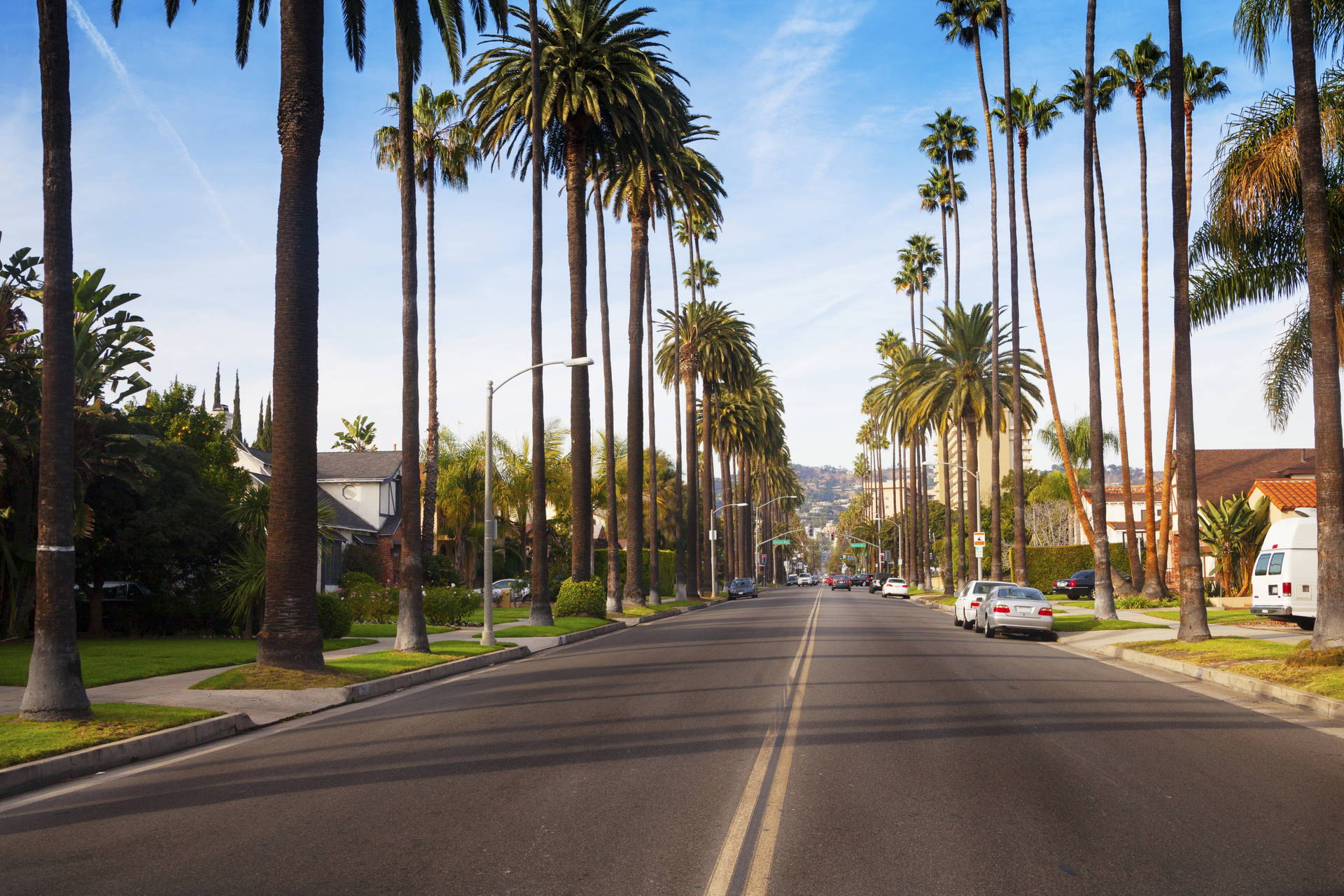 Ulica w Los Angeles z palmami po obu stronach.